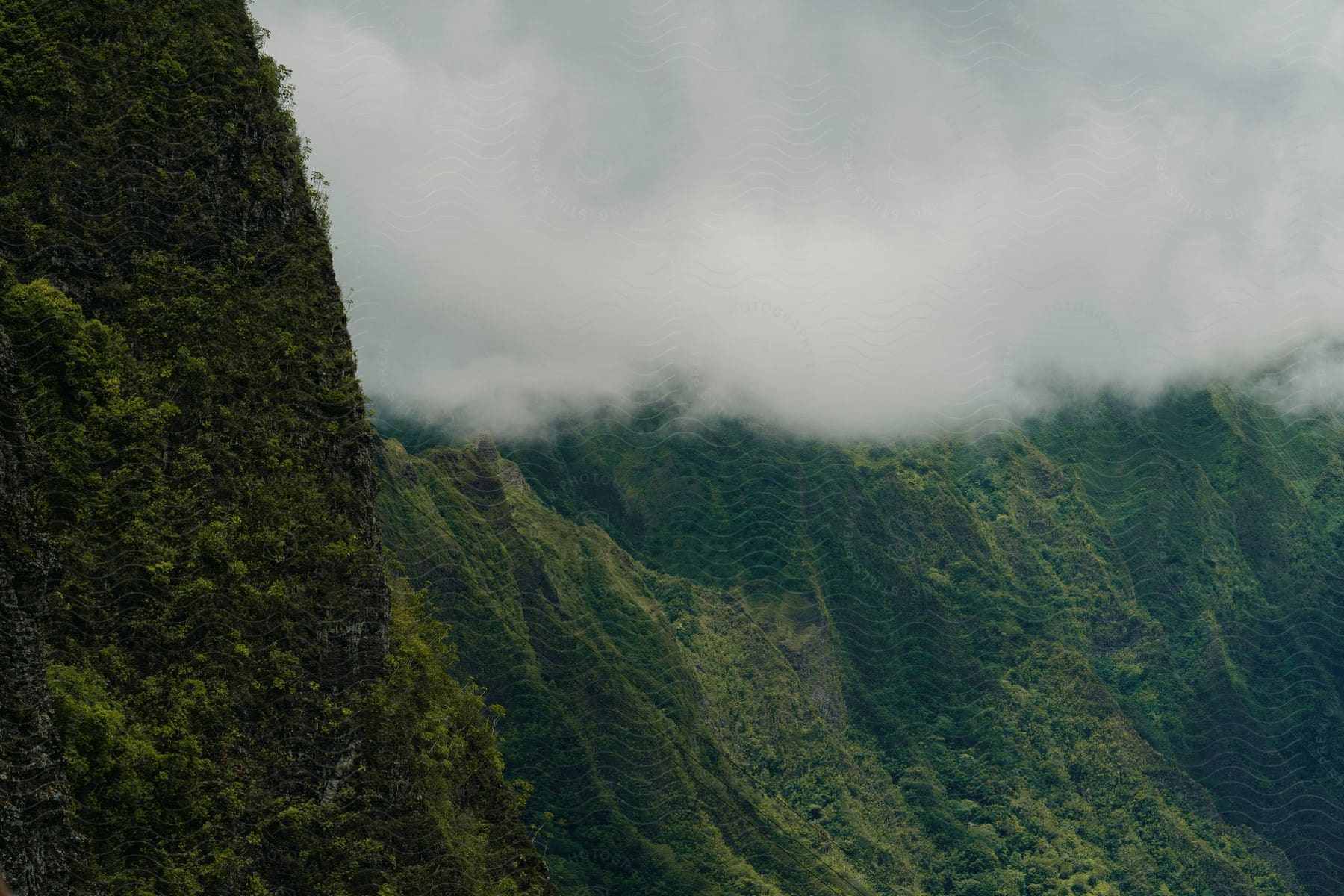 Natural landscape of mountains covered with forests at cloud level