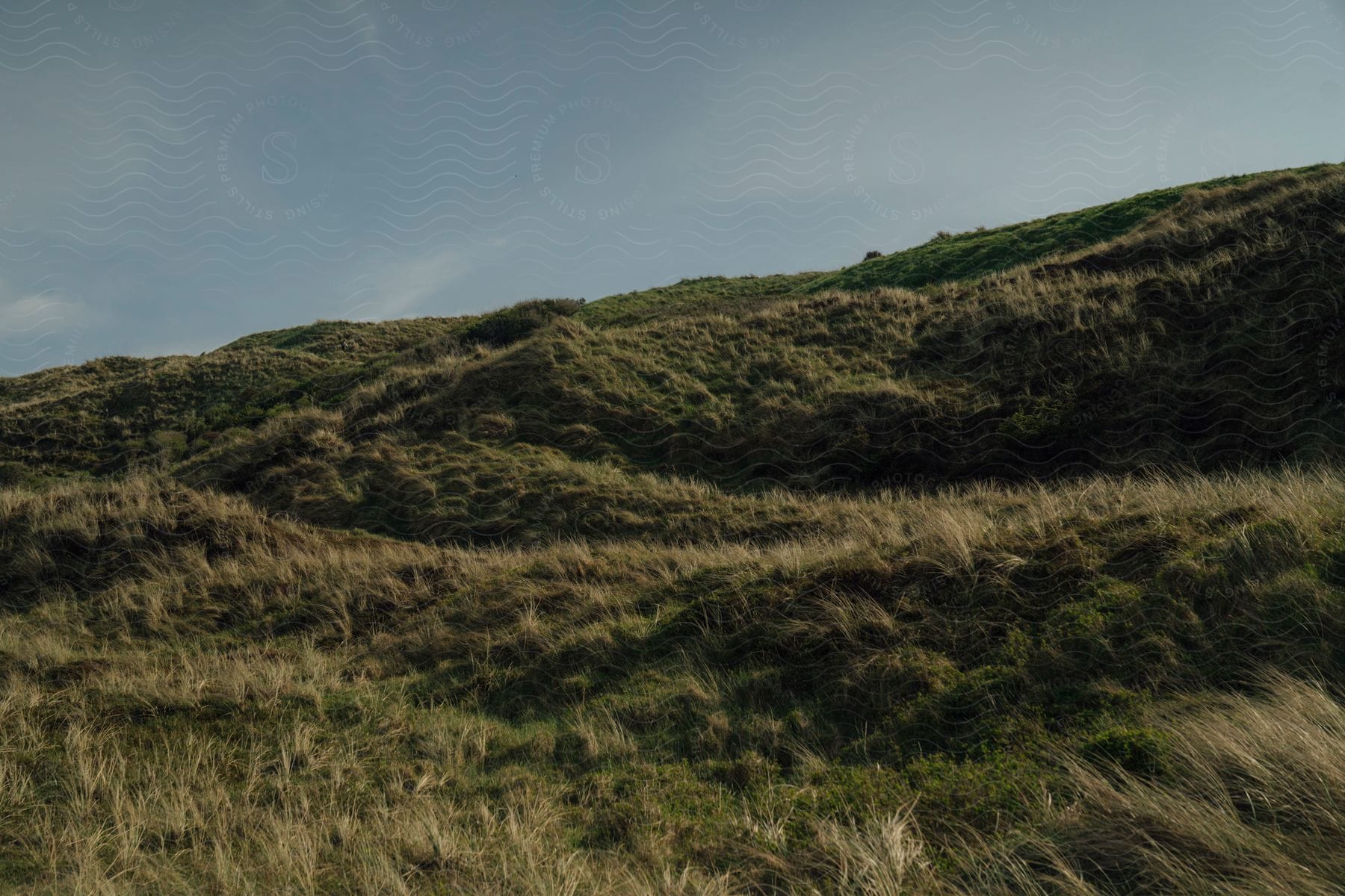 Landscape of a hill with vegetation on a blue sky day with few clouds