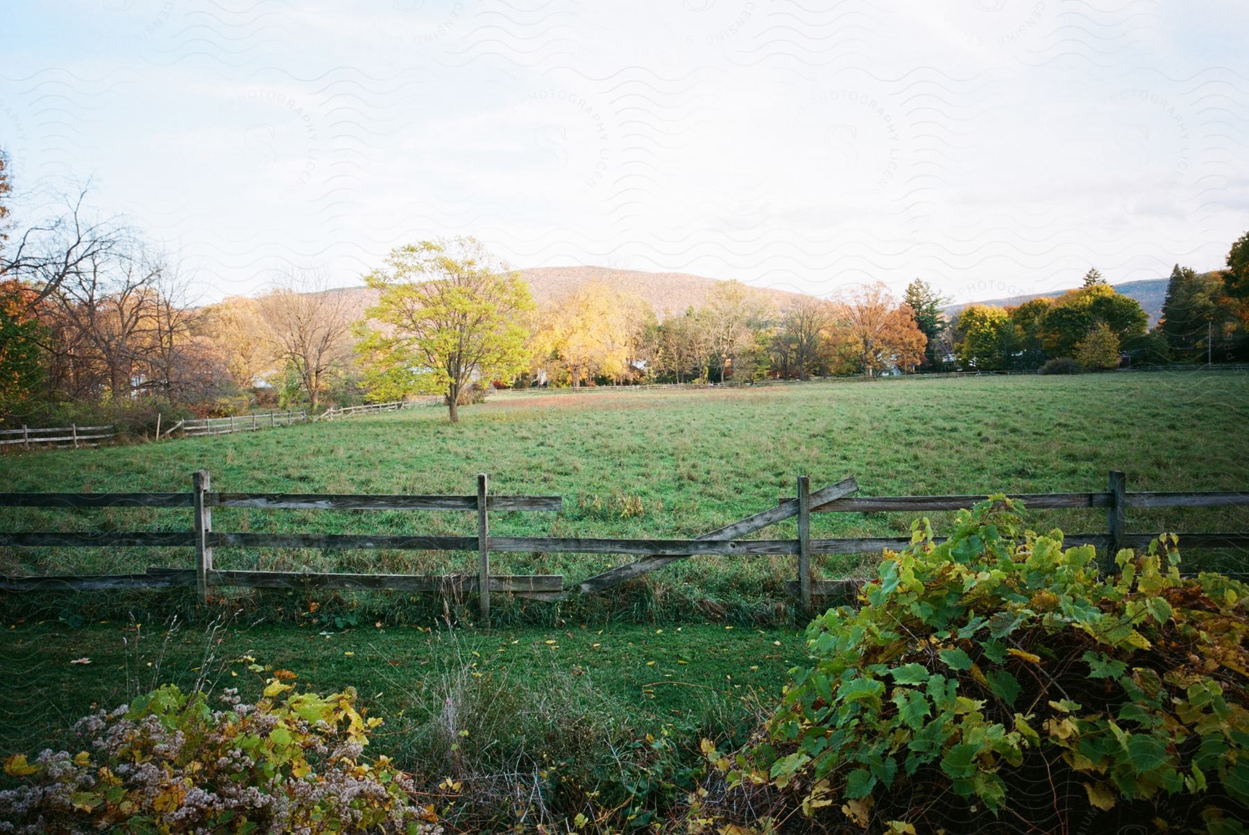 Field of a farm in the countryside during the day.