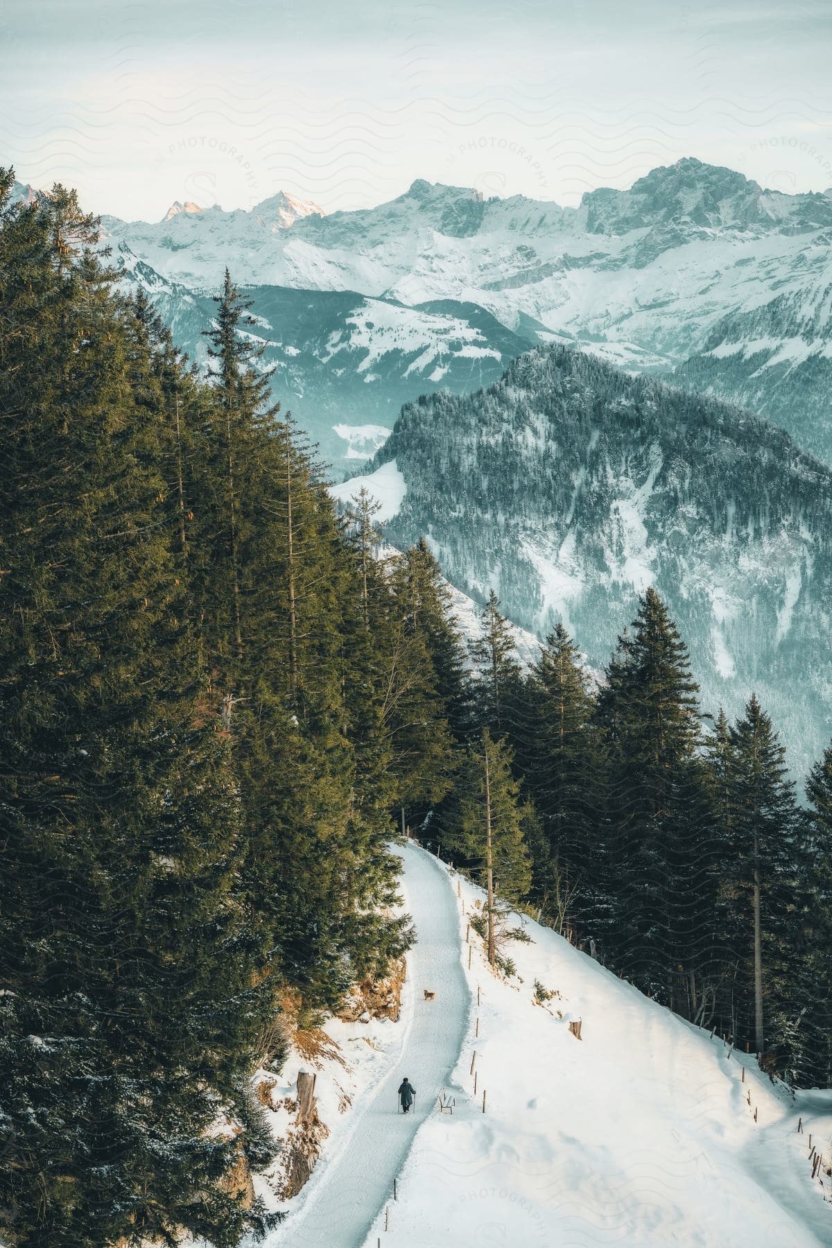 Aerial of a person riding a motorcycle on a snow-covered road in a mountainous forest.