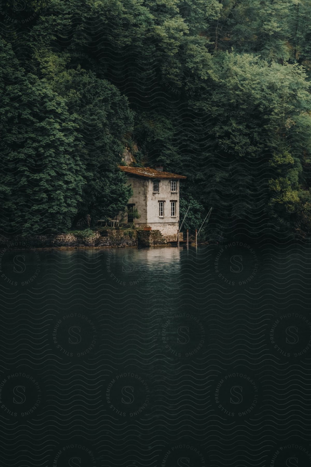 Small building along the coast of a forested mountain