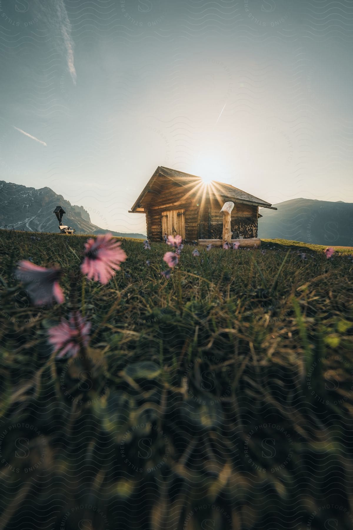 A small wooden house situated in a green field with some flowers and there is a mountain in the background and the sun setting or rising behind the house.