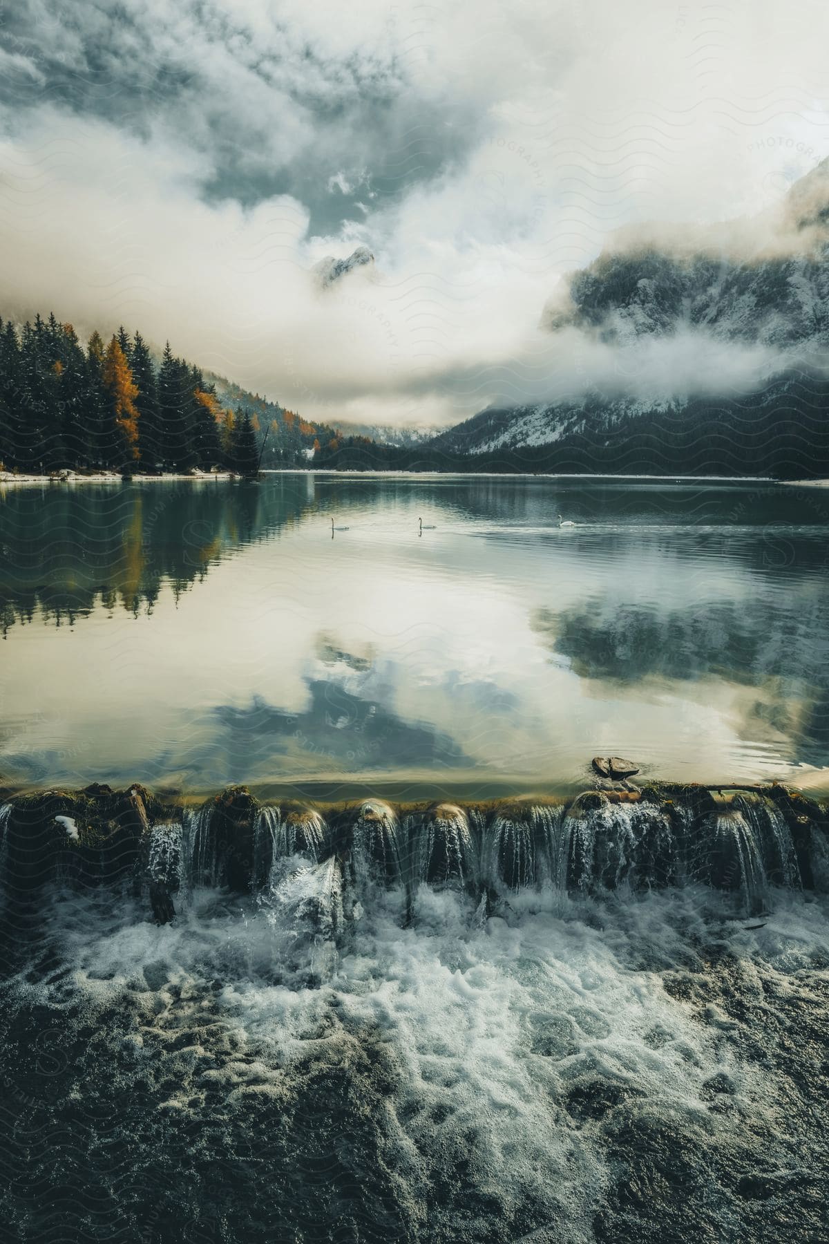 Beautiful landscape of the Toblacher See surrounded by conifers and mountains in winter