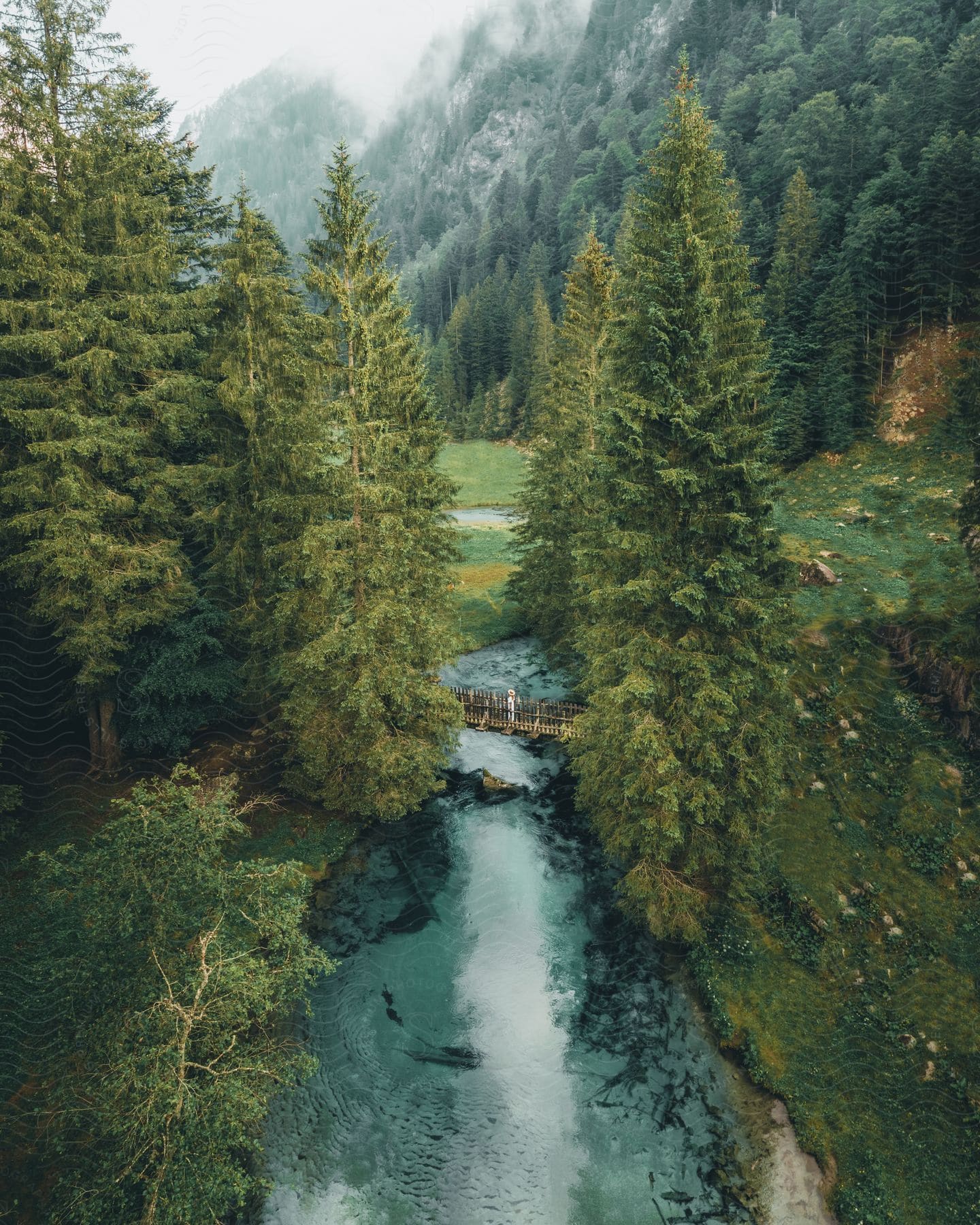 A stream runs through the forest with forested mountains in the distance