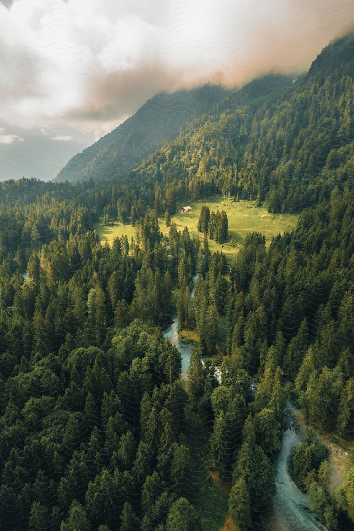 Stock photo of aerial of a river between pine forests and mountains on a cloudy day.