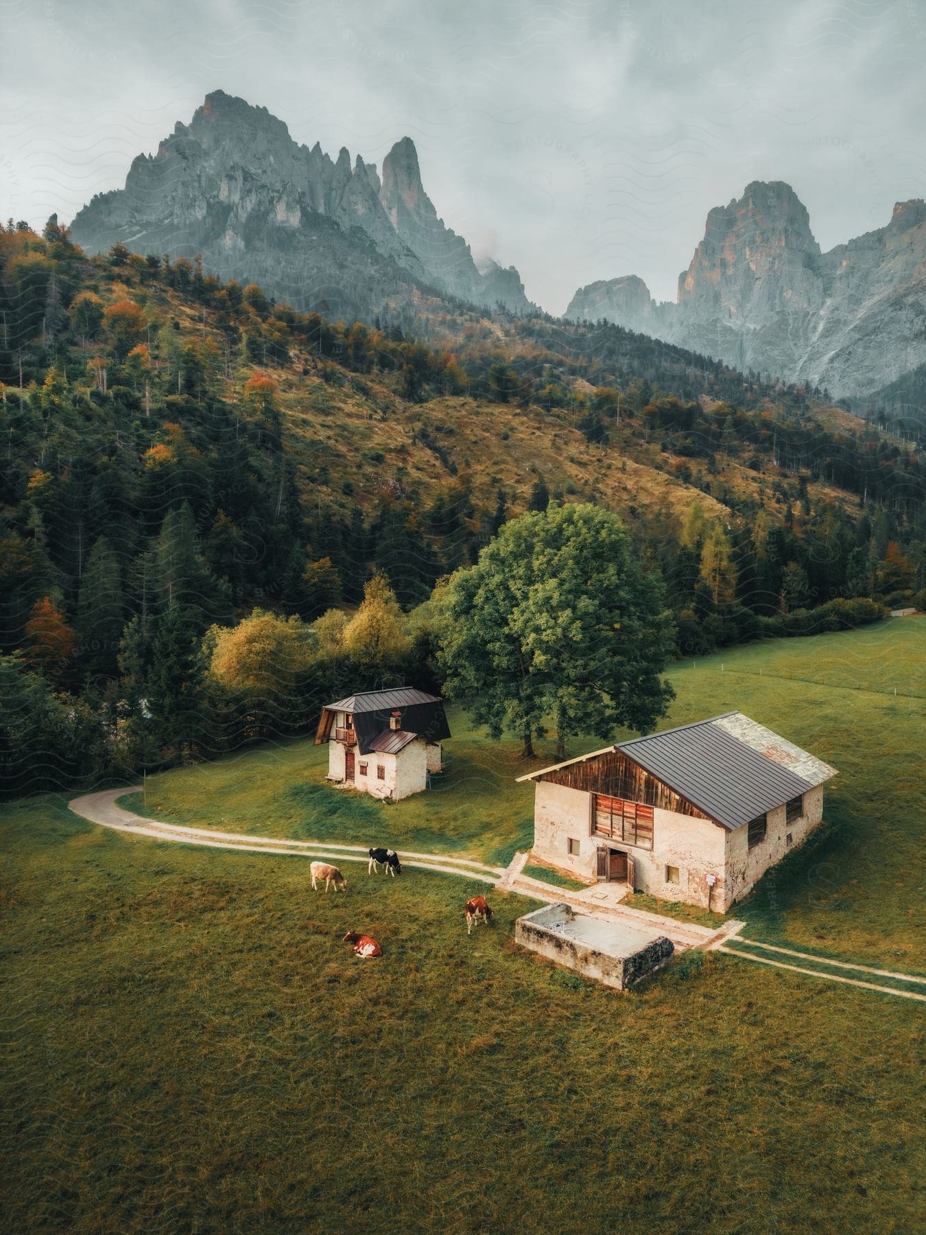 A pastoral scene with two rural houses and grazing cows on a lush green field, set against a backdrop of towering, mist-covered mountains.