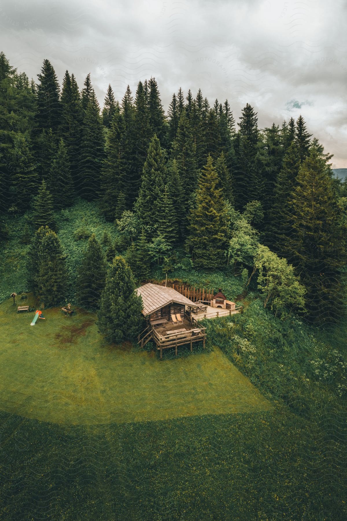 An old wooden cabin between an evergreen forest and a green field.