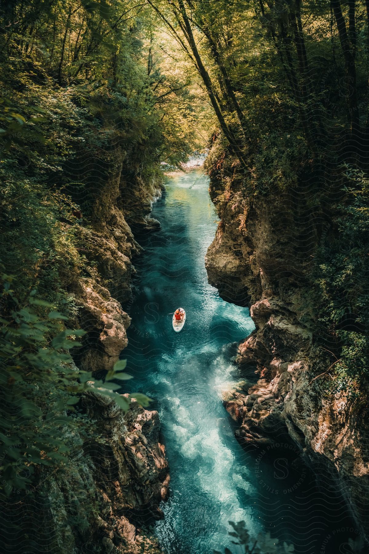 A boat floats through a narrow, serene river gorge surrounded by lush greenery.