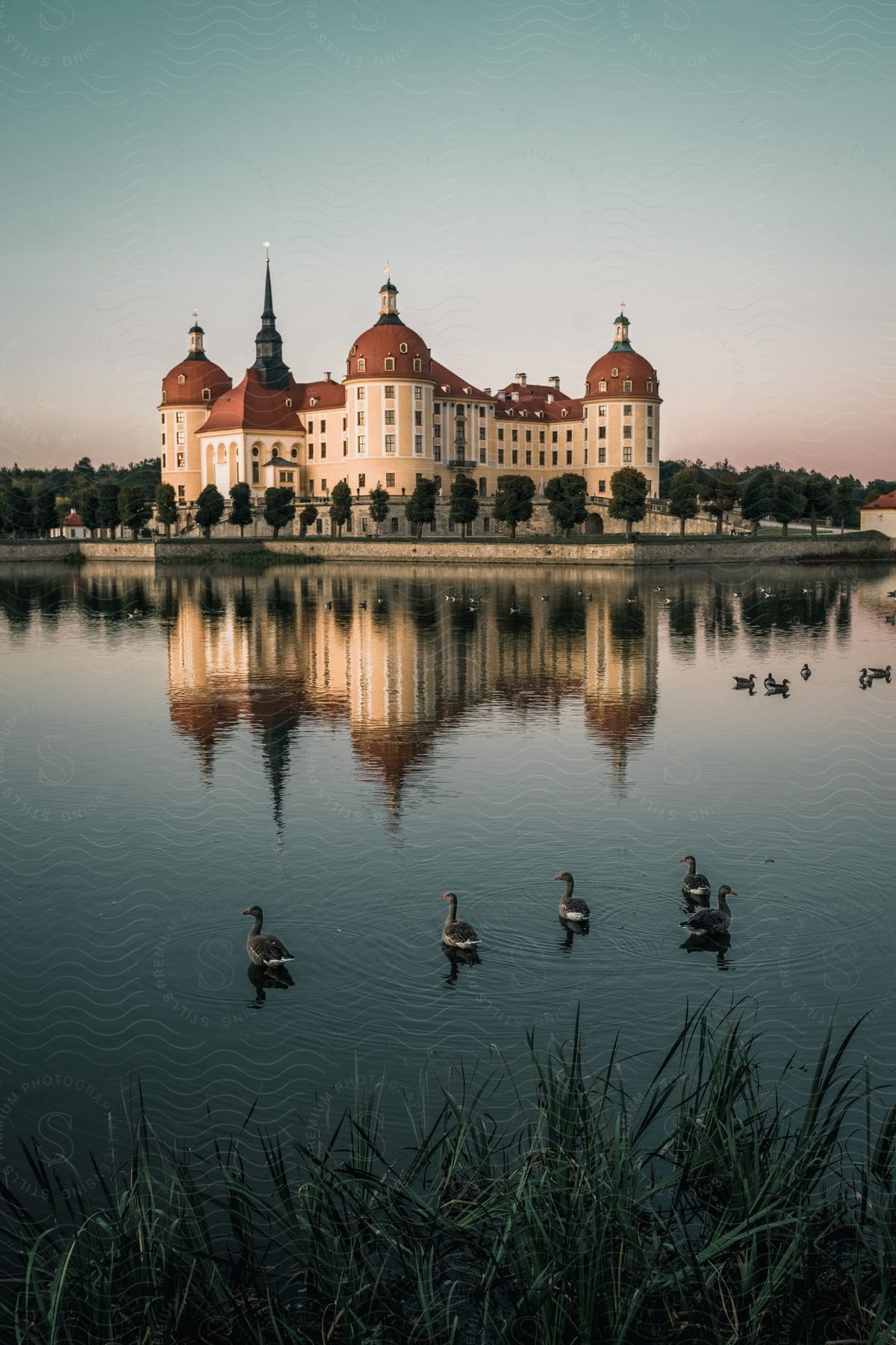 Moritzburg Castle stands tall beside a serene lake, where ducks gracefully float on the tranquil waters.