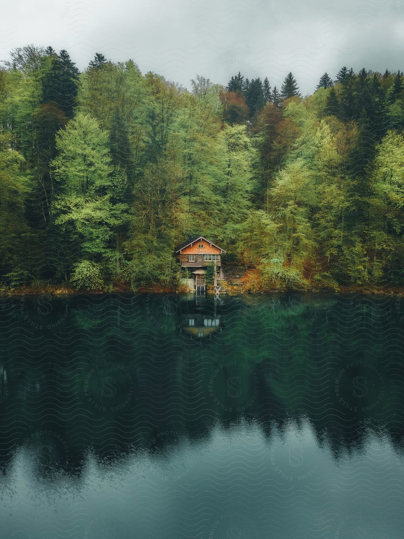 House along the coast of a forest under a cloudy sky