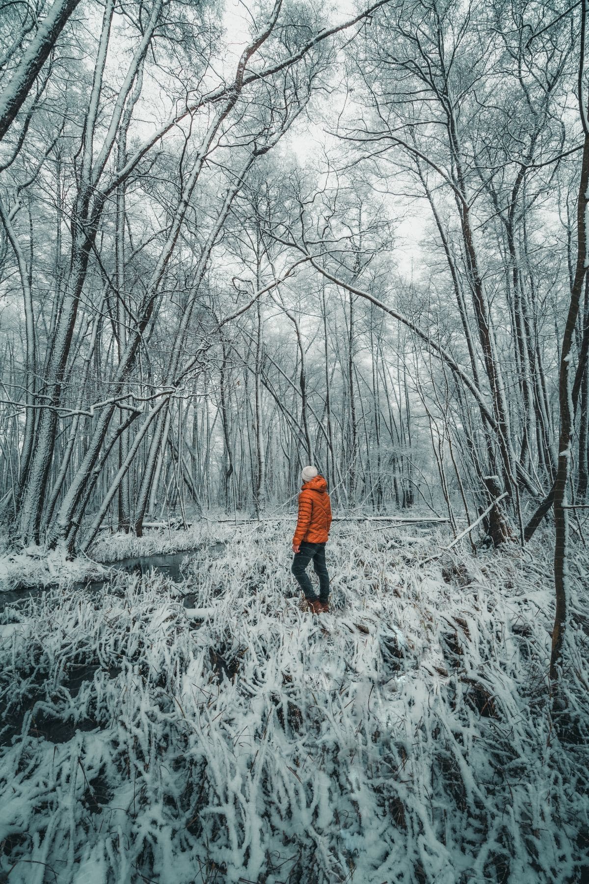 man wearing a white hat an orange coat and black pants walks in the snow covered forest