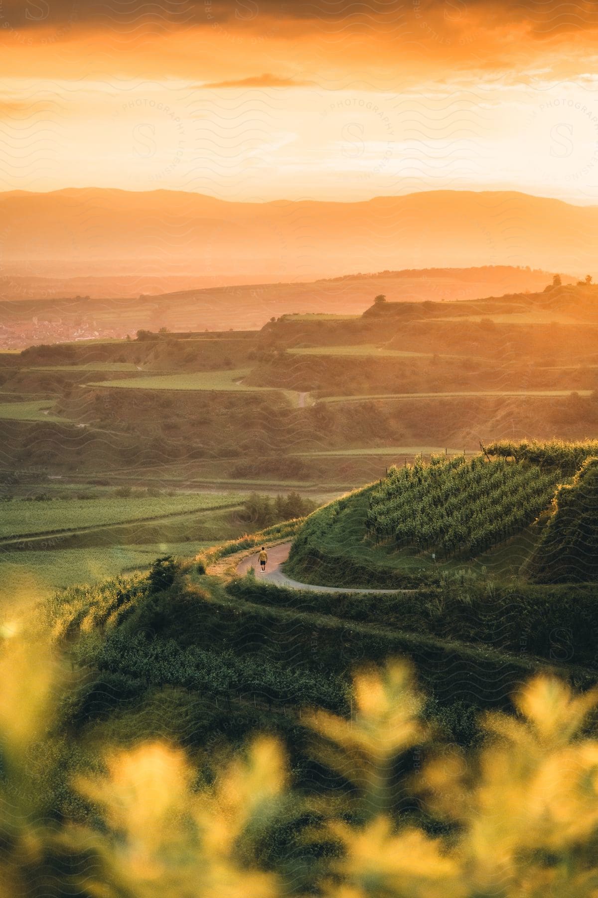 Natural landscape with hills and reliefs with vegetation and agriculture on a red sky day