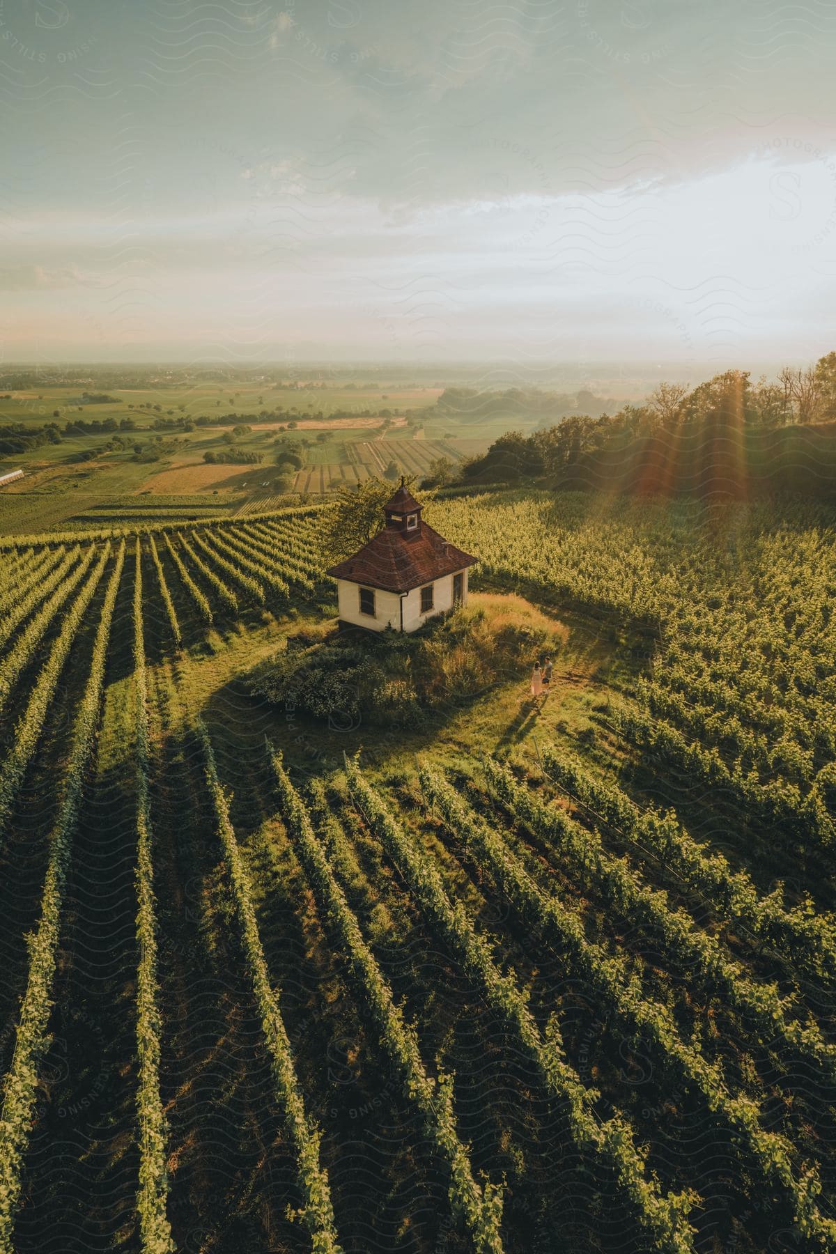 Two people stand next to a small house in a vineyard on a partly cloudy day.