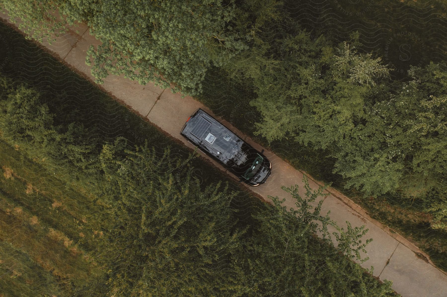 Black van traveling on a narrow driveway with trees on both sides.