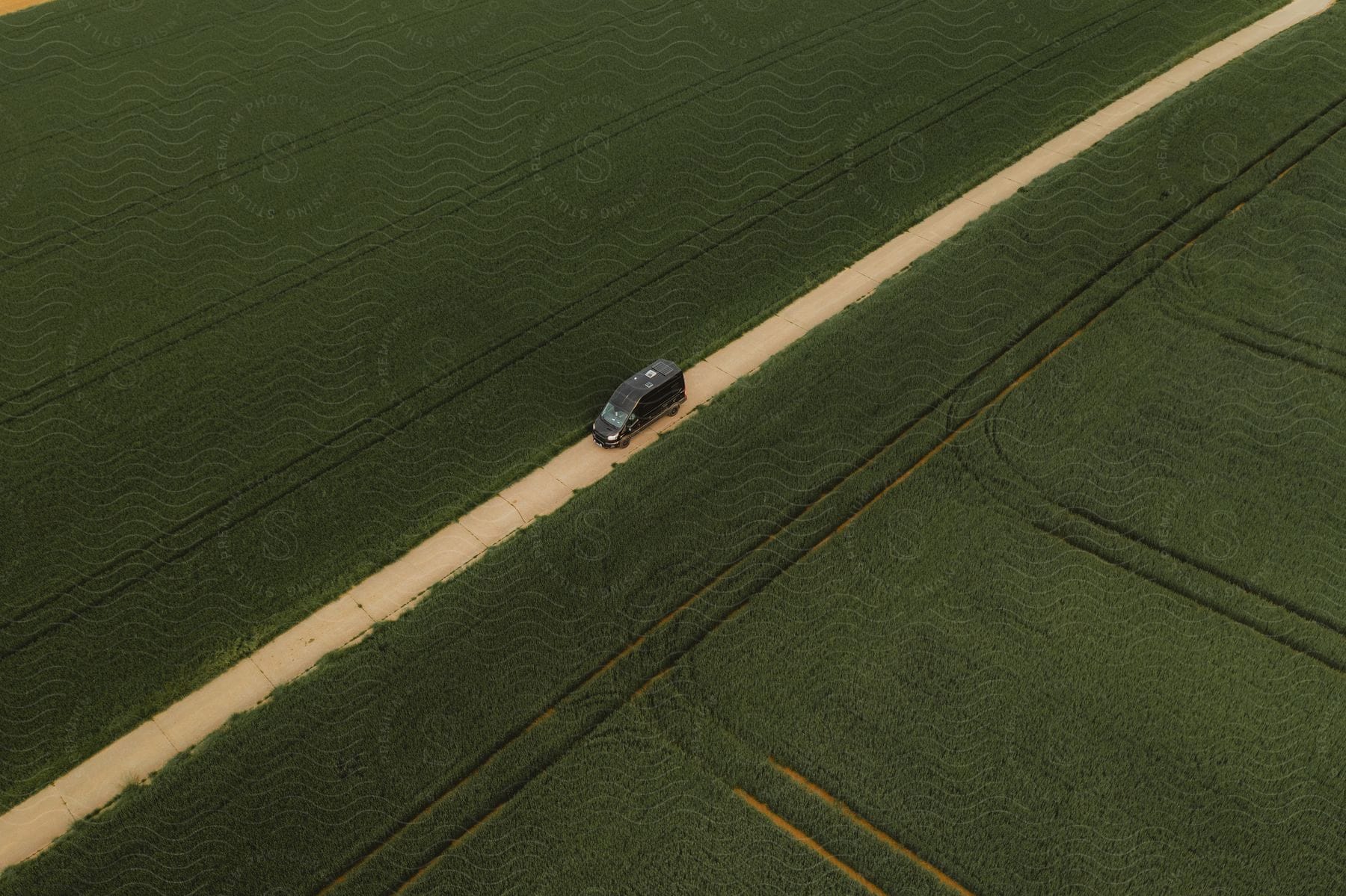 Aerial view of a black vehicle in the middle of greenish grain planting in agricultural fields.