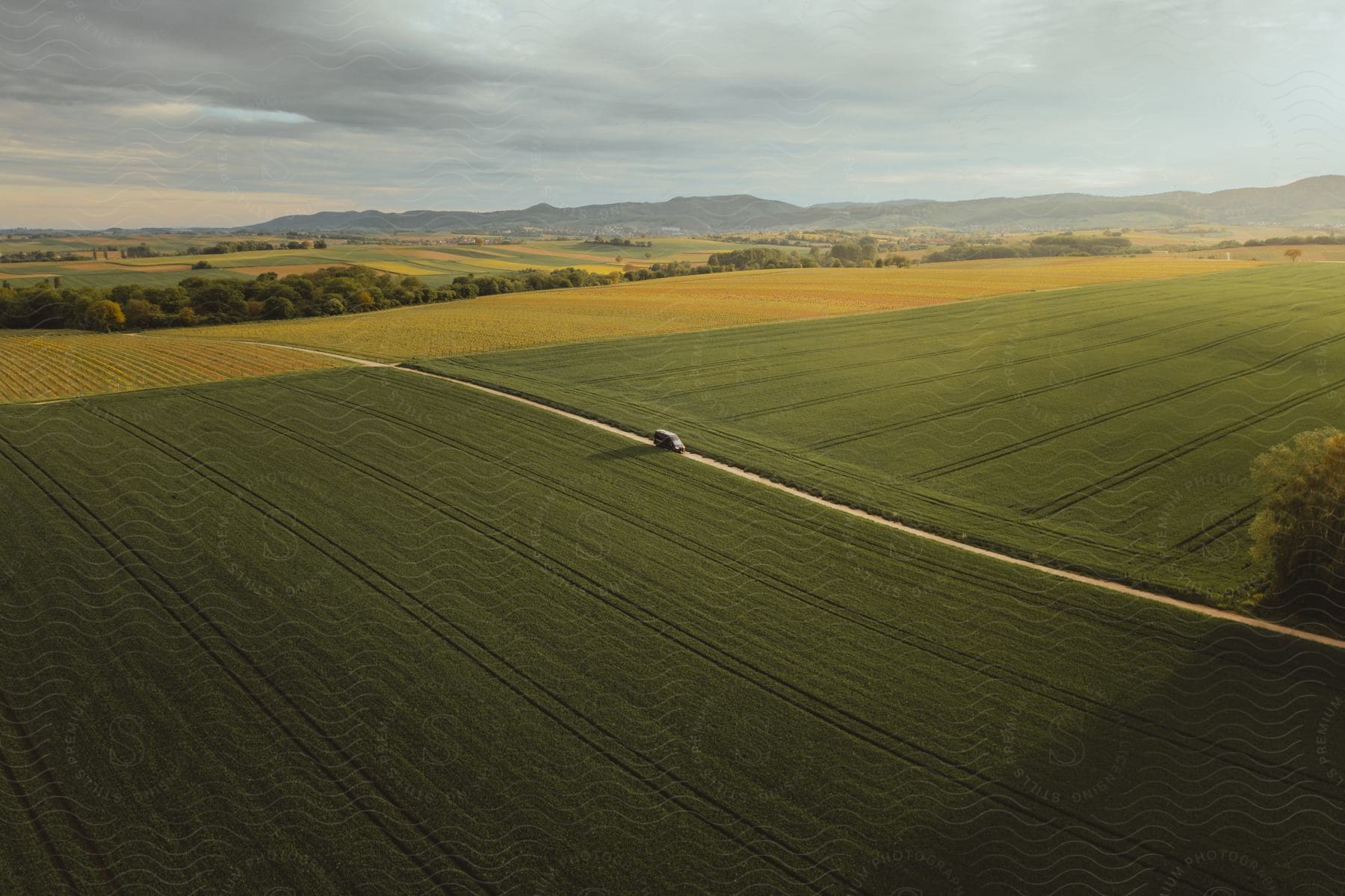 Aerial panorama of agricultural fields in a morning sky with clouds