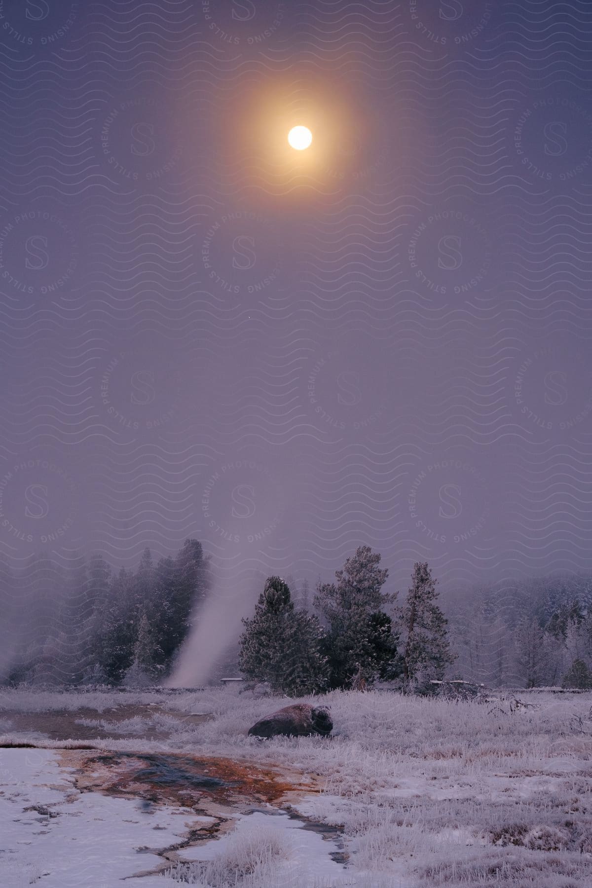 Sun shines brightly onto partially thawed and red smeared ice bordering conifer forest during winter.