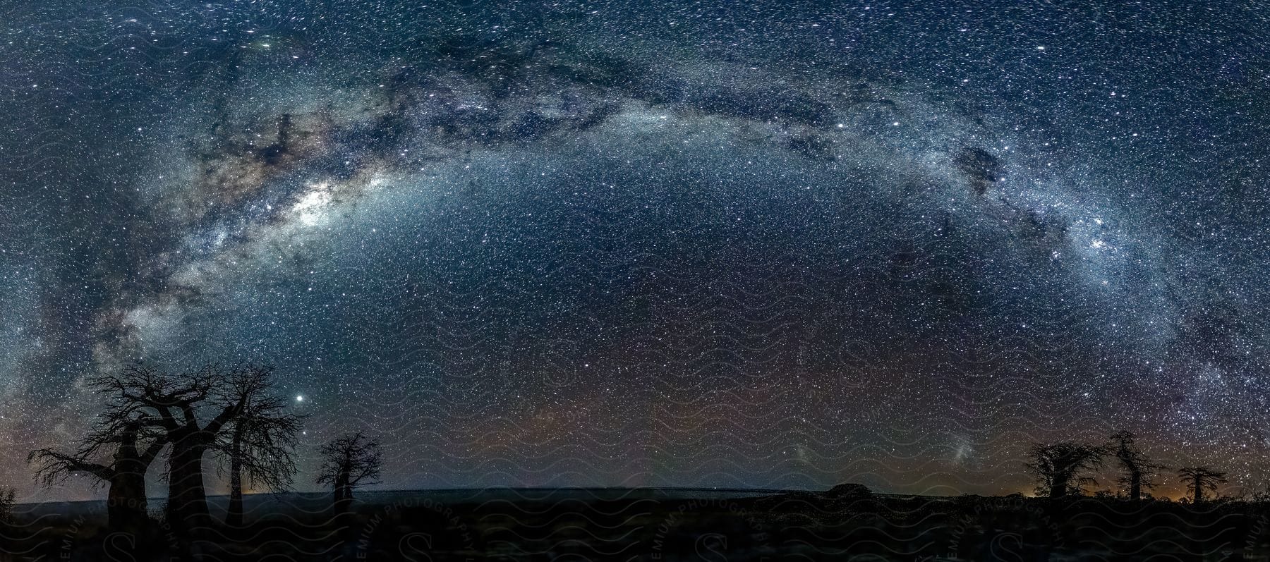 The image captures the Milky Way stretching out over a nighttime landscape, illuminating silhouetted trees and the distant horizon.