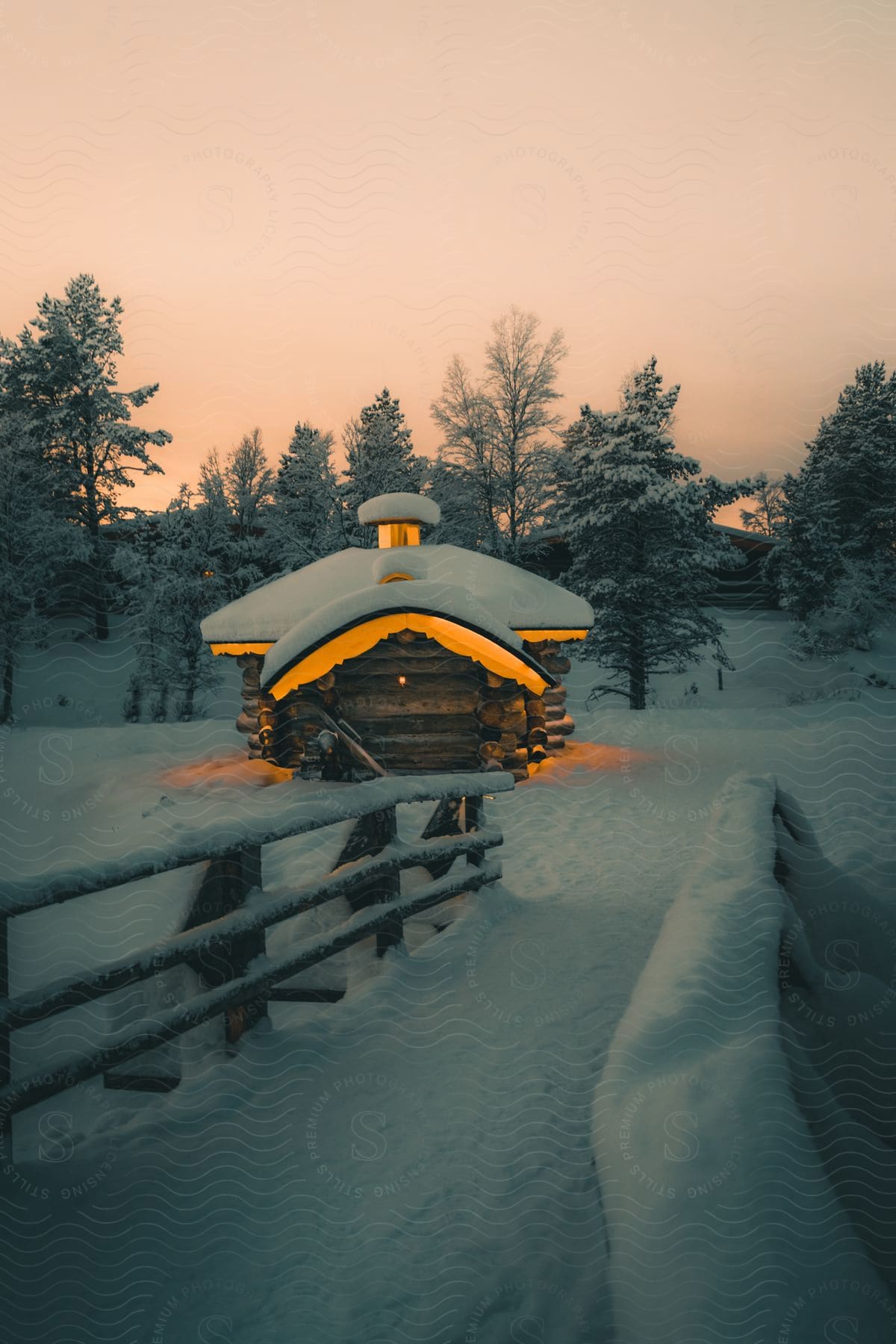 Walkway leads to a snow covered building and trees