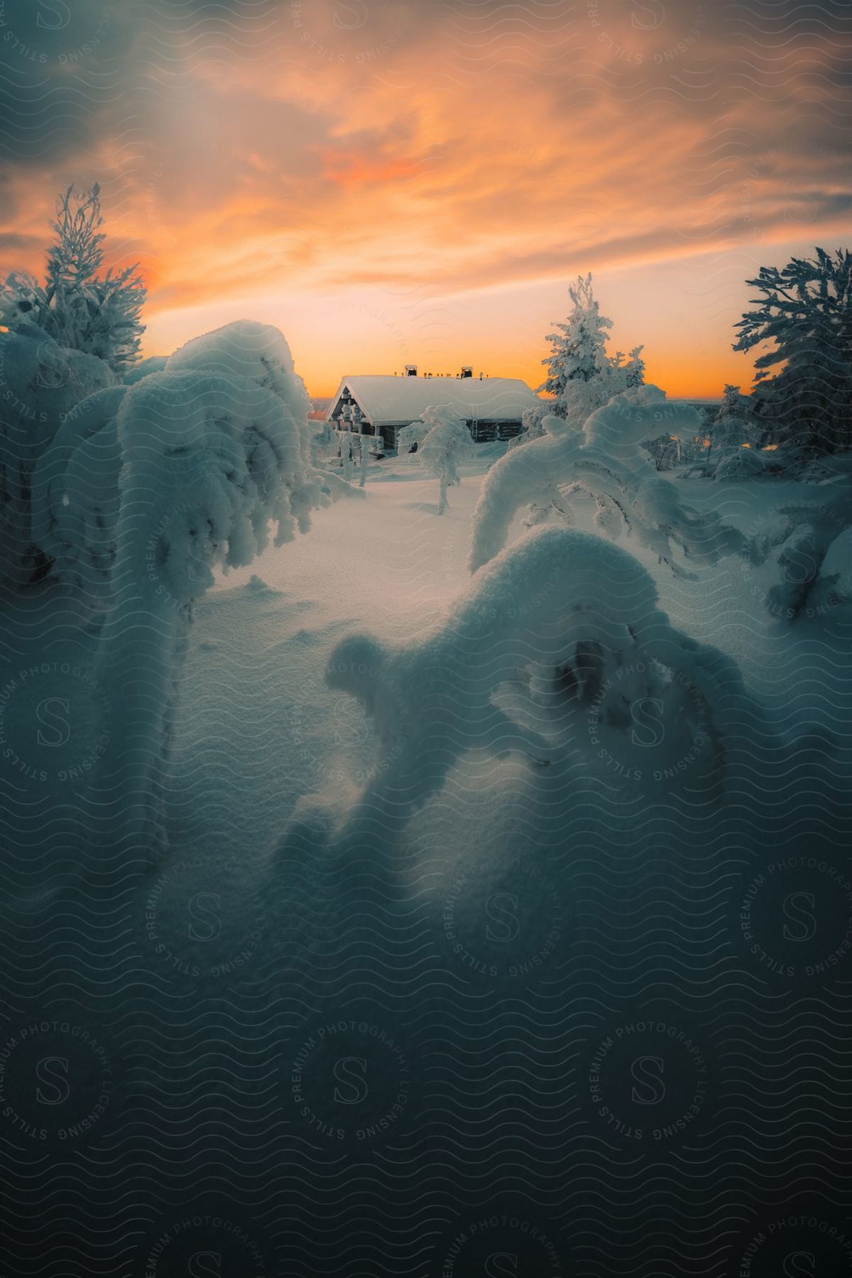 A small, wooden cabin with smoke rising from its chimney sits nestled amidst snow-covered pine trees.