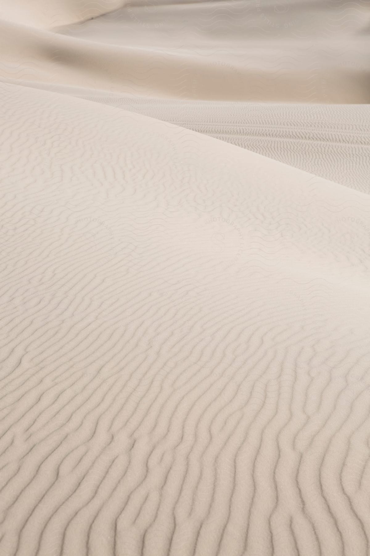 Details in lines on the white sands of the desert.