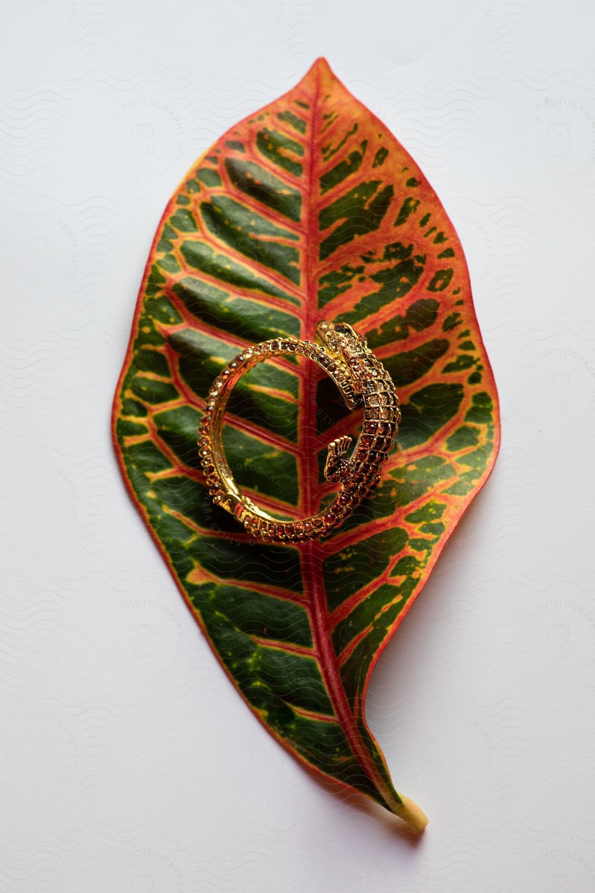 A gold bracelet on top of a leaf.