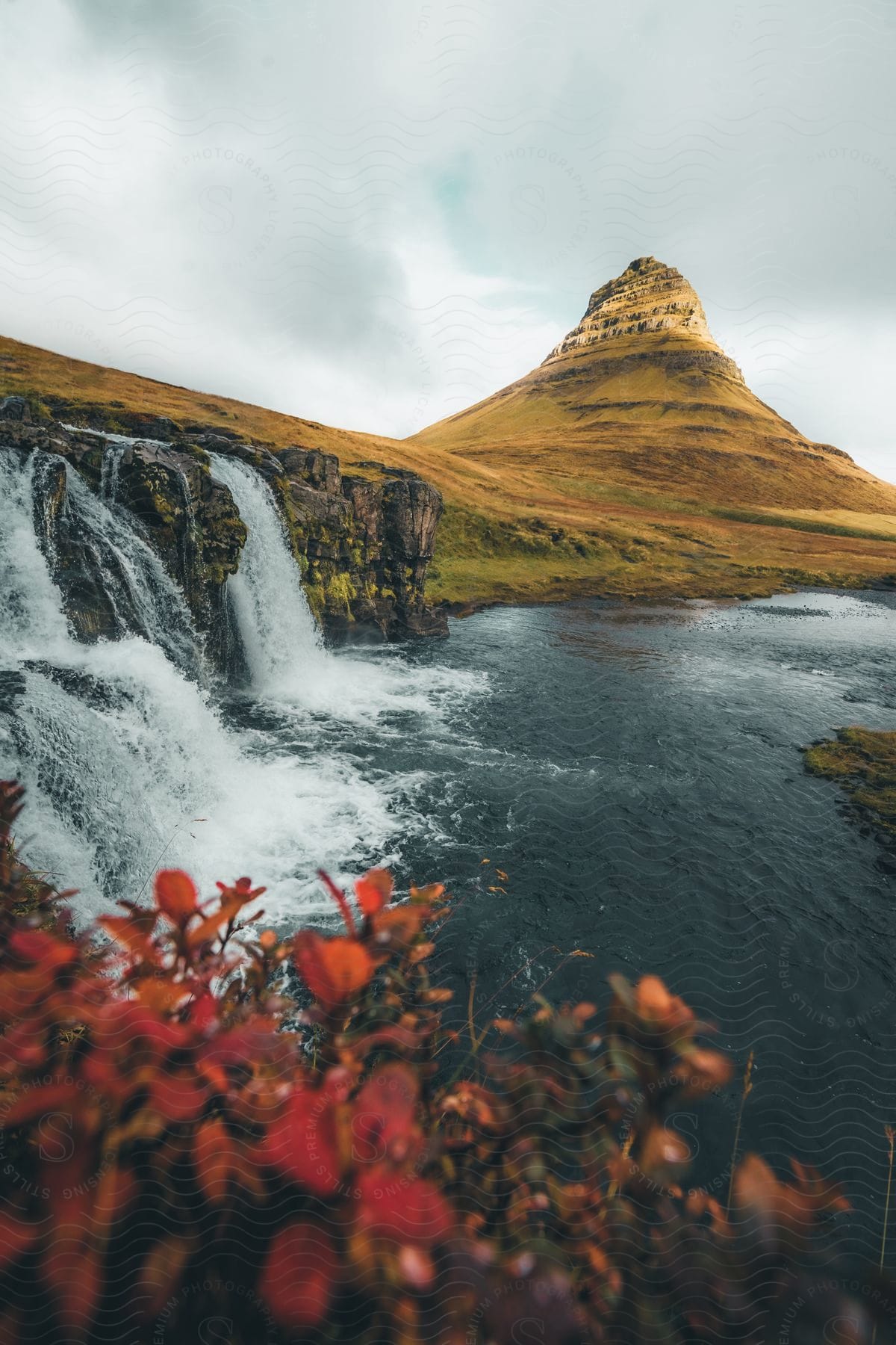 Flowers grow near waterfalls and a mountain along the coast