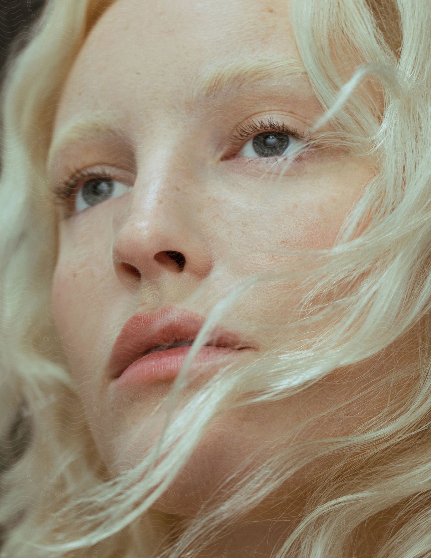 A young blonde woman is gazing outward as her hair blows across her face