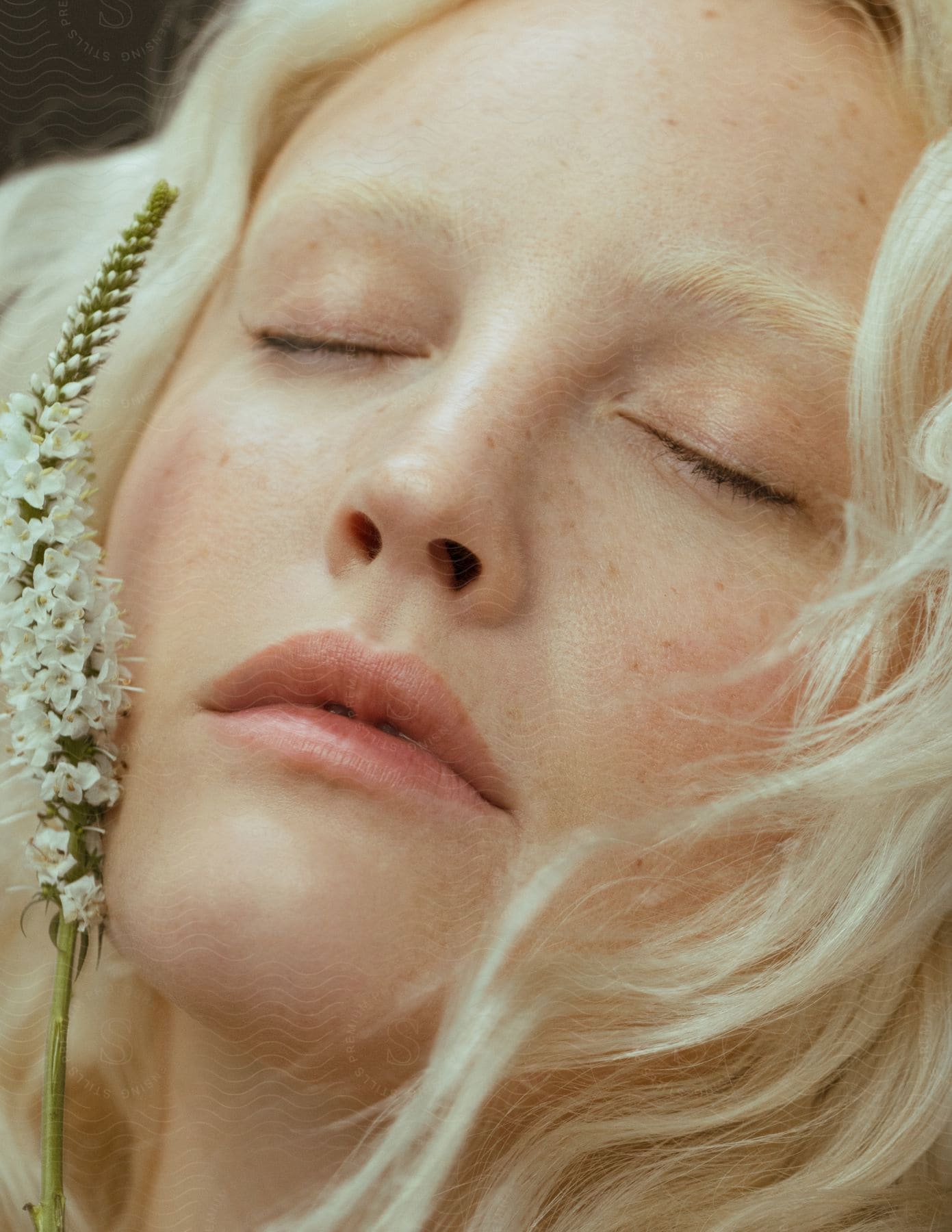 A young blonde woman is lying down with her eyes closed and flowers near her face