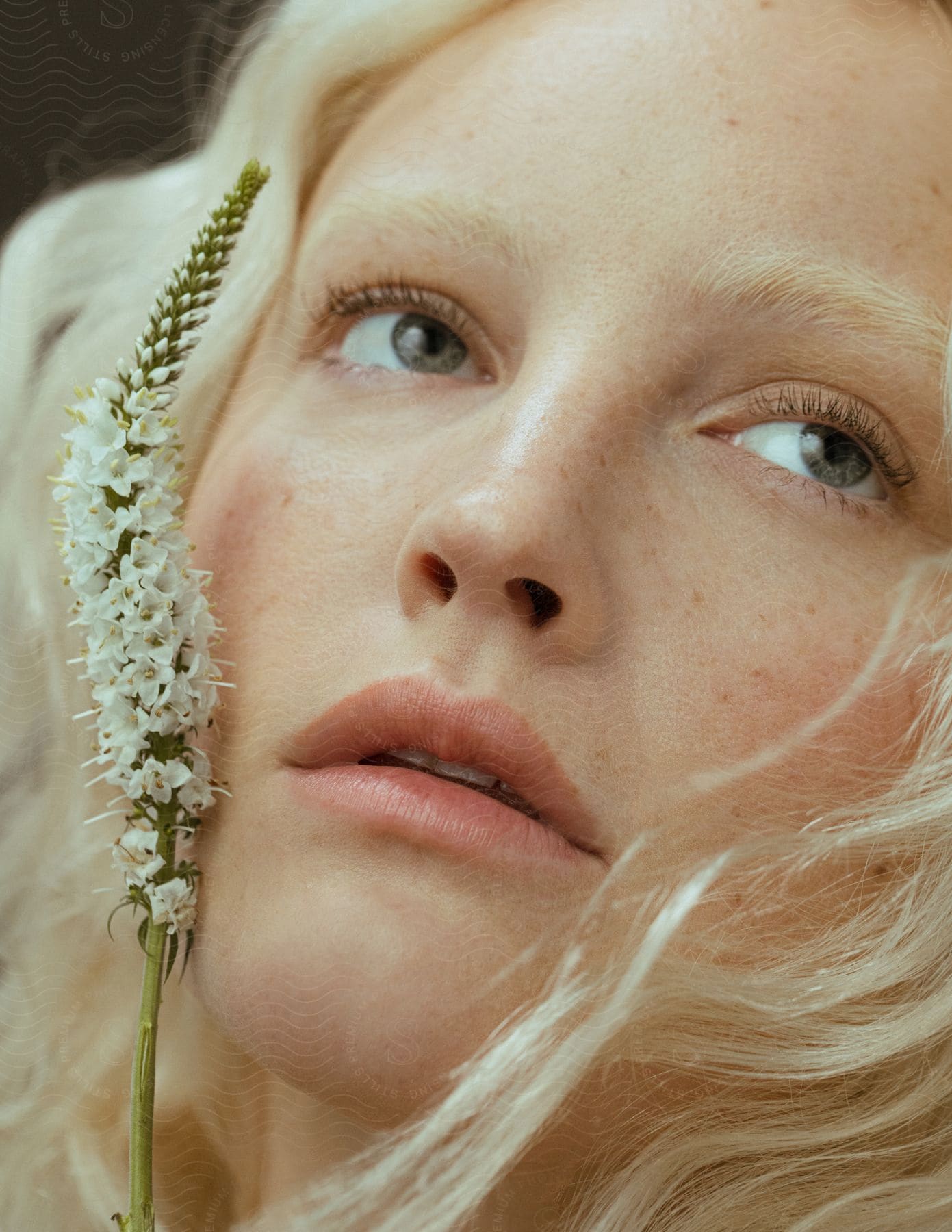 A young blonde woman is lying down looking up with flowers near her face