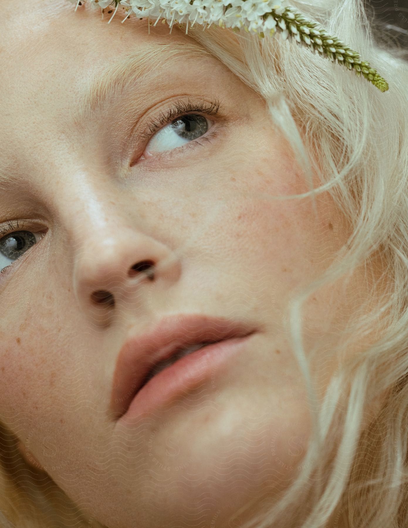 A Close Up Portrait Of A Woman's Face