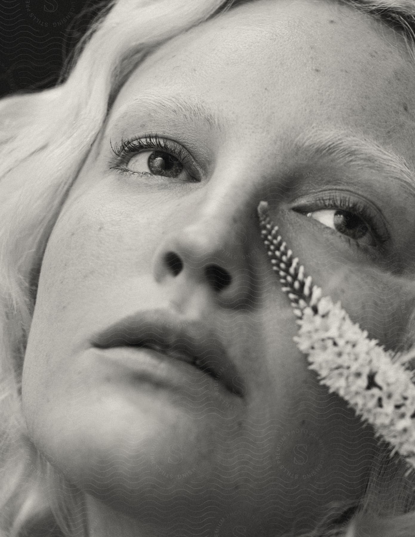 Close-up of a woman's face with a plant on her cheek.