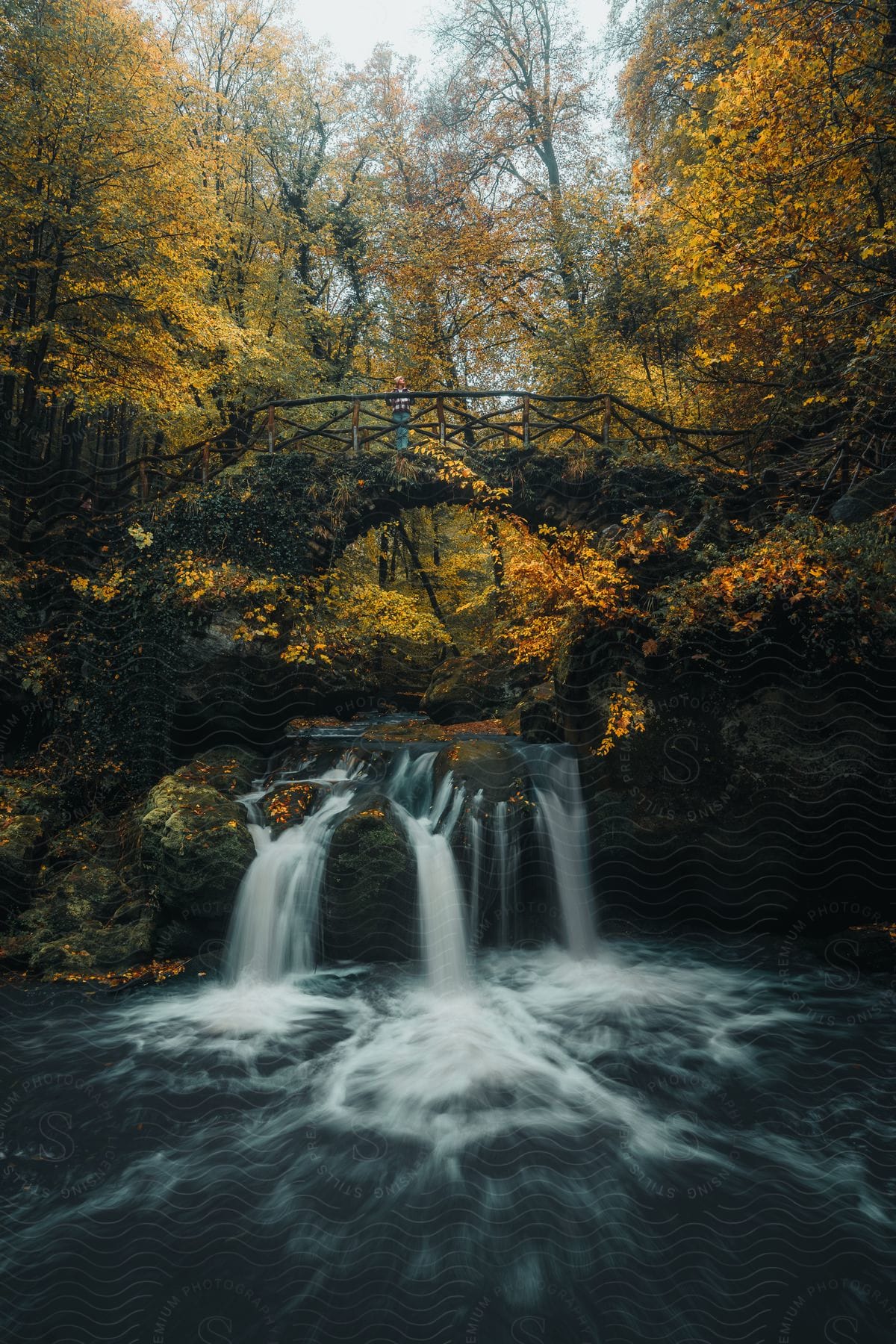 A forest waterfall with a bridge hanging over the water.
