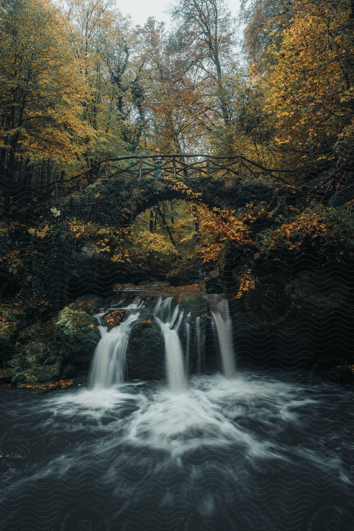 A picture of a stream in the woods