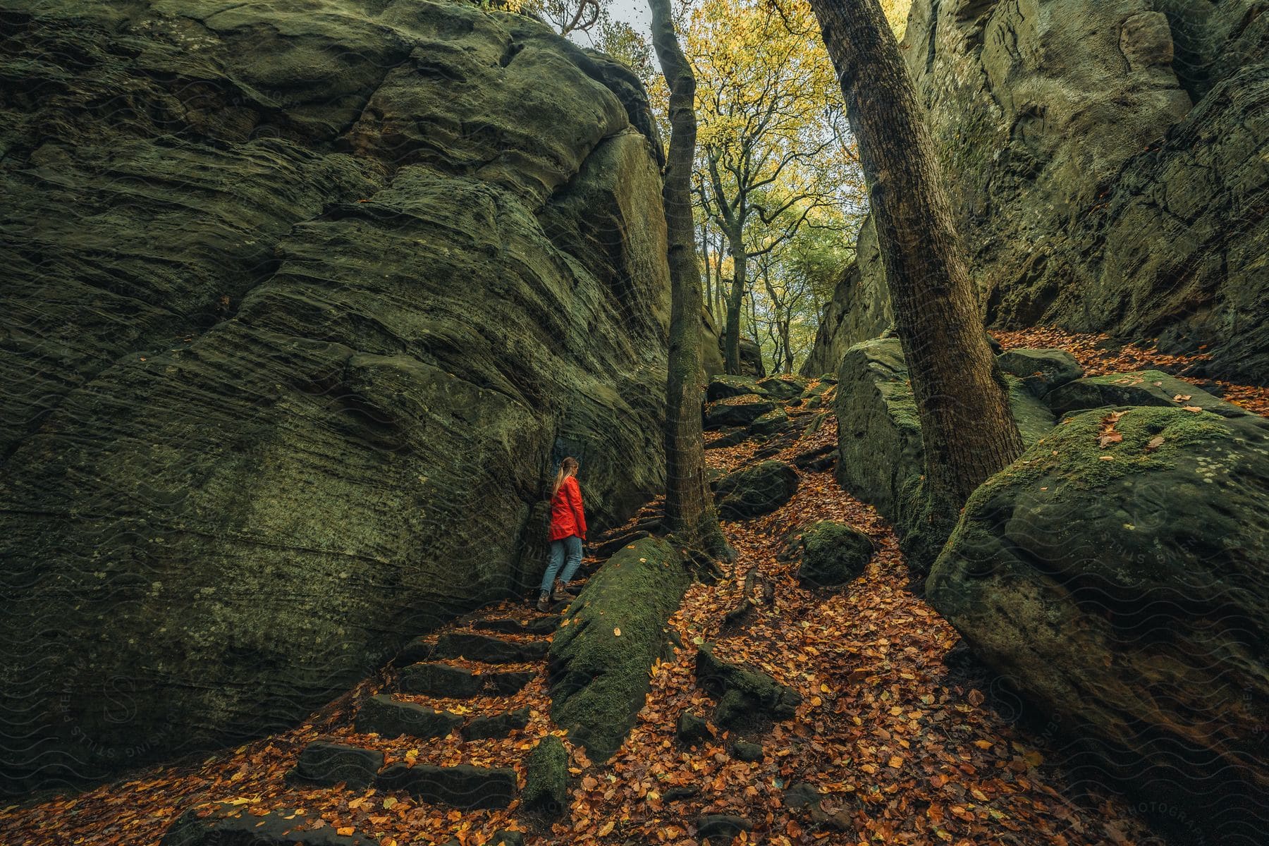 A woman hiking outdoors in a forested area.