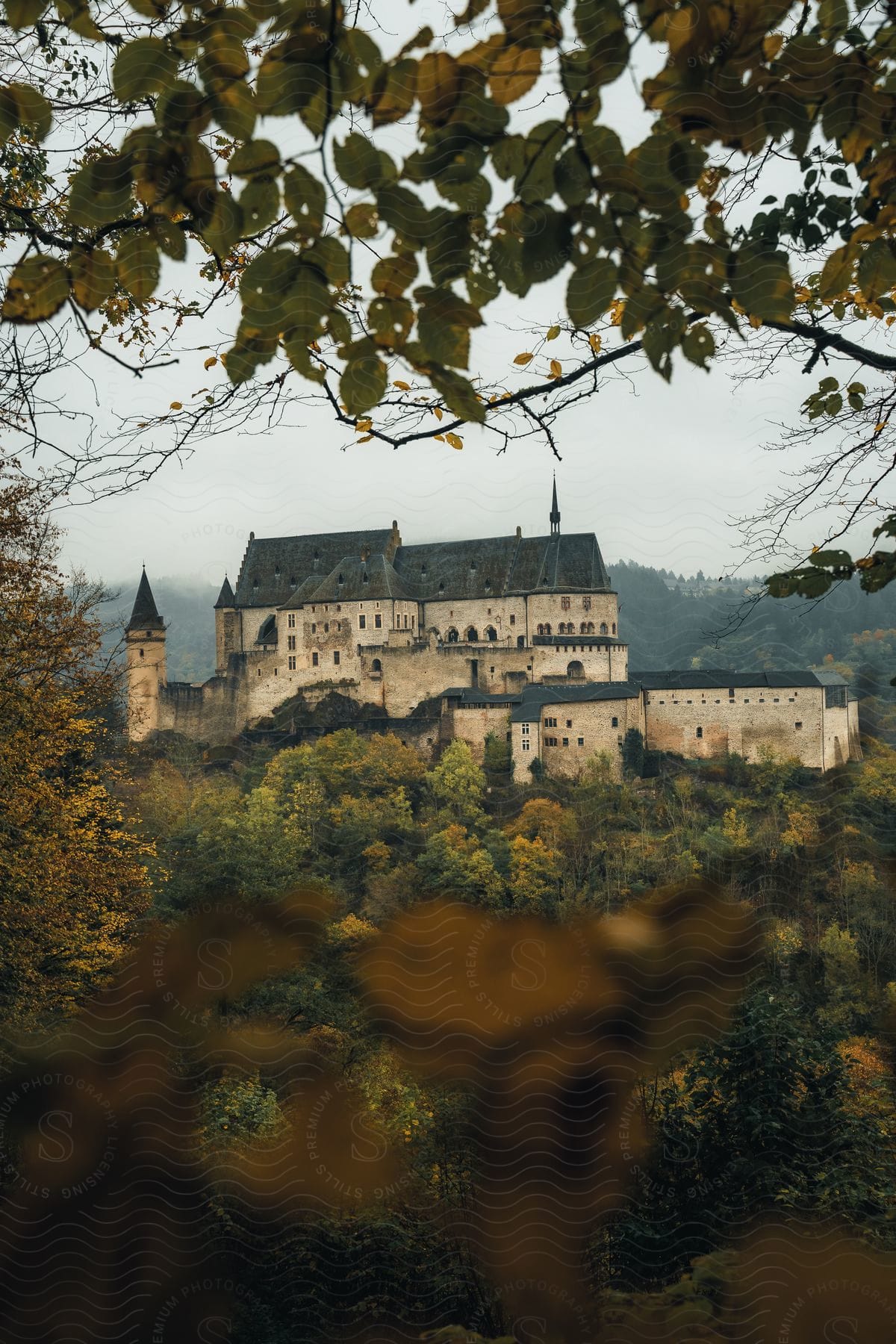 Castle perched on hill framed by autumn leaves in overcast weather.