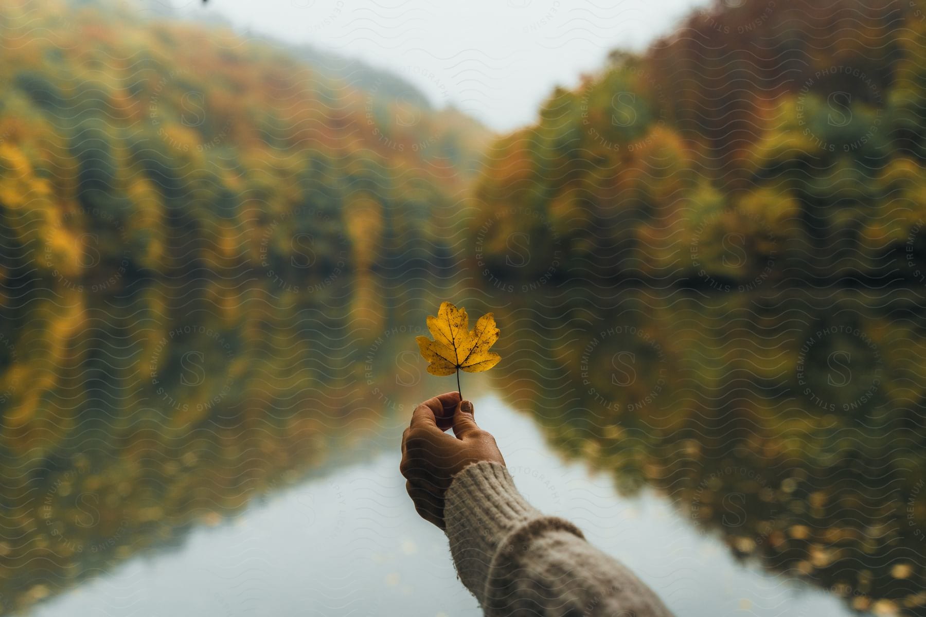 A picture of a person holding a leaf