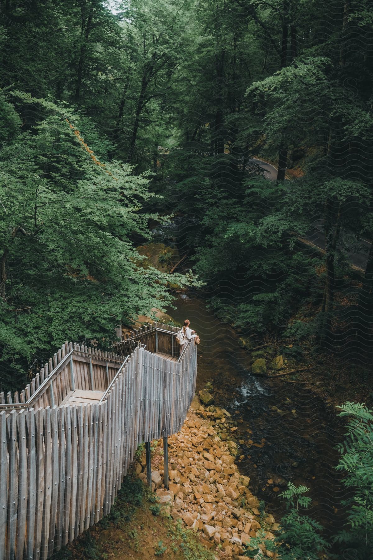 Woman standing outside on stairs overlooking a stream in the forest