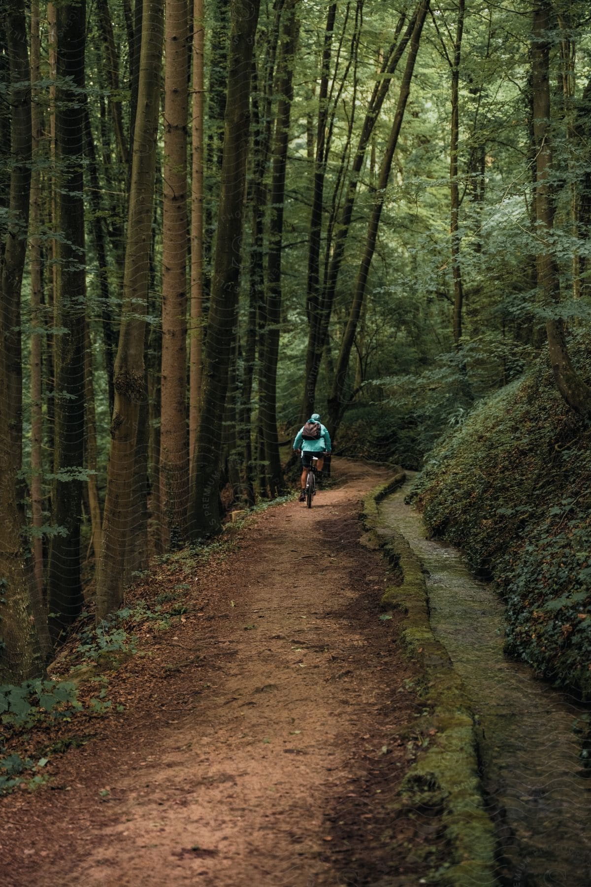 Cyclist is riding a bicycle on a trail through a forested mountain
