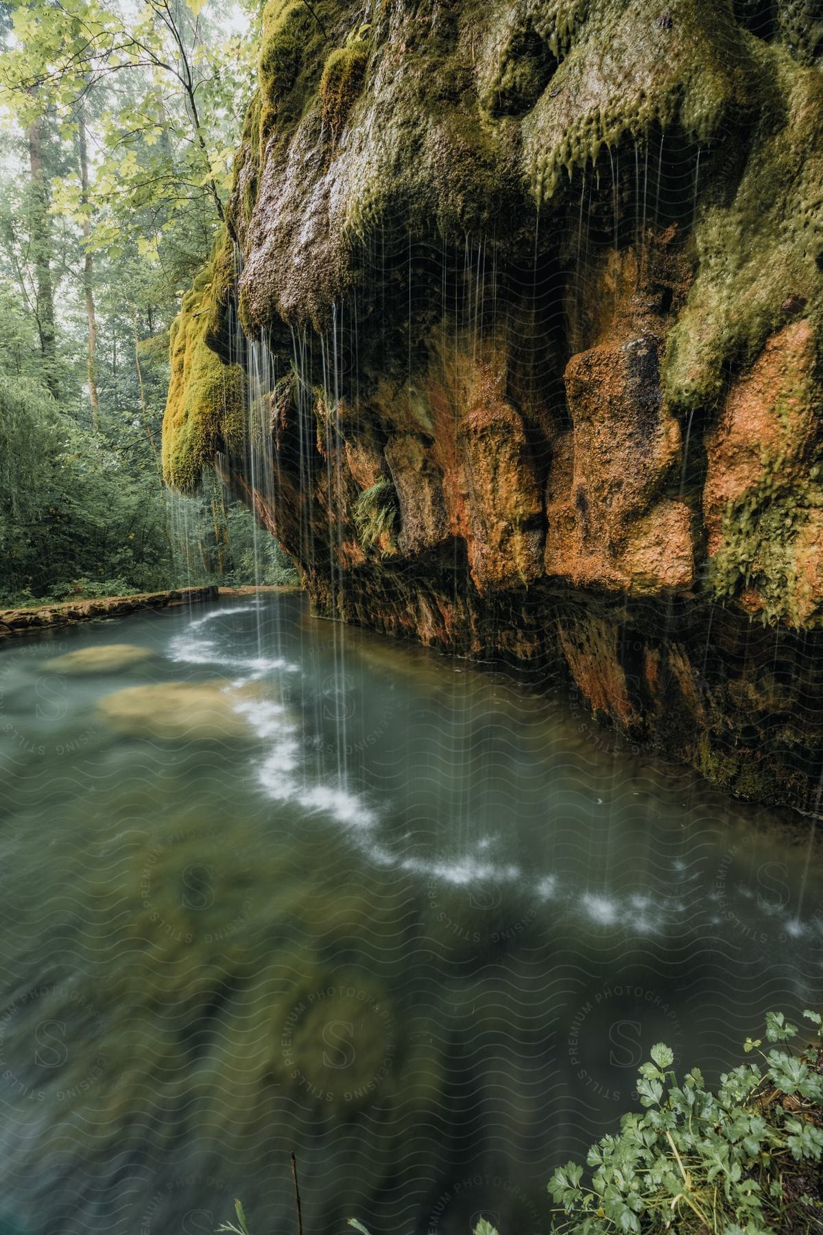 A large moss-covered rock at the edge of a lake with drops dripping from its leaves