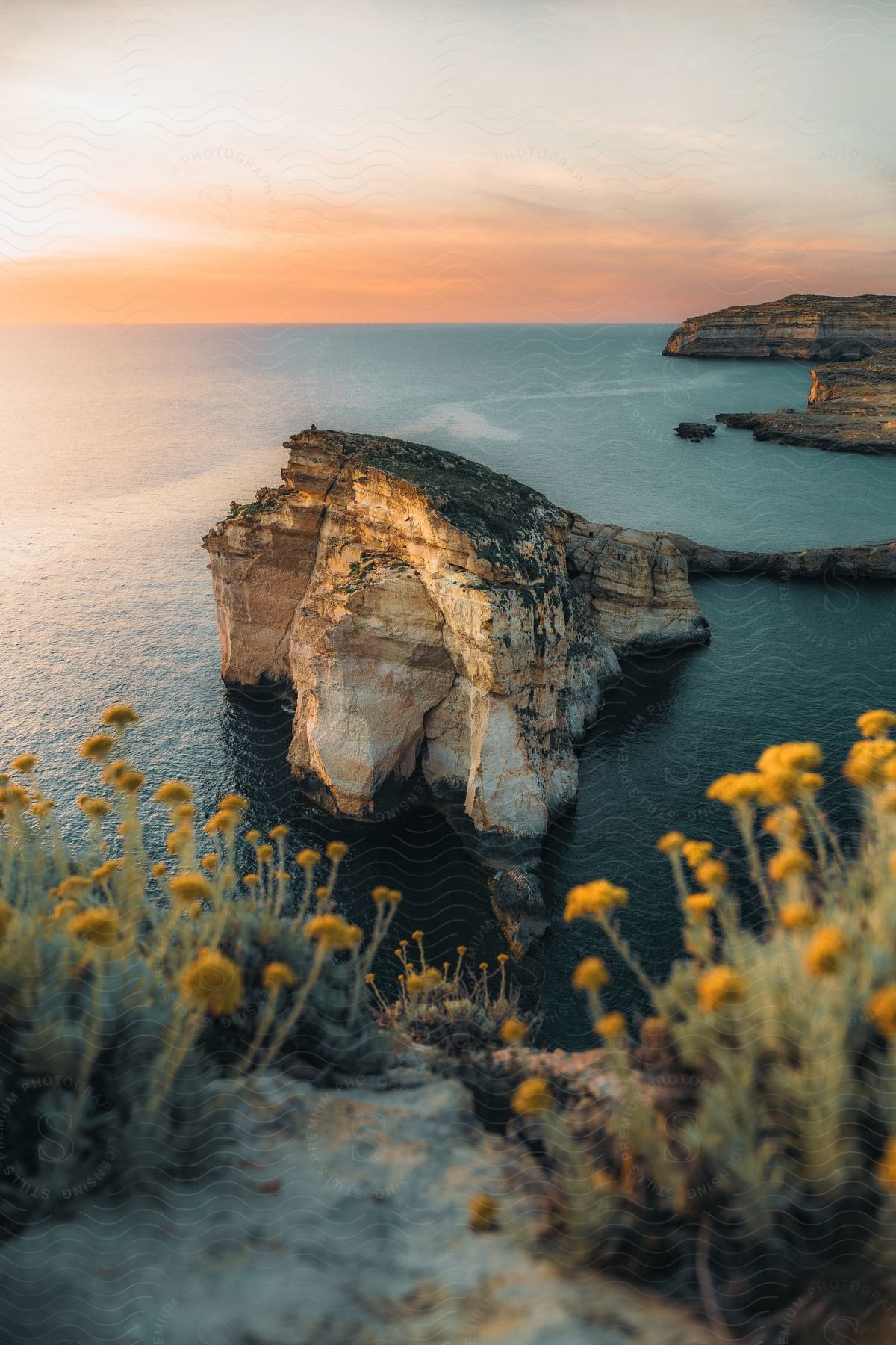 Yellow flowers top cliff overlooking islets and coastal promontories against a red horizon.