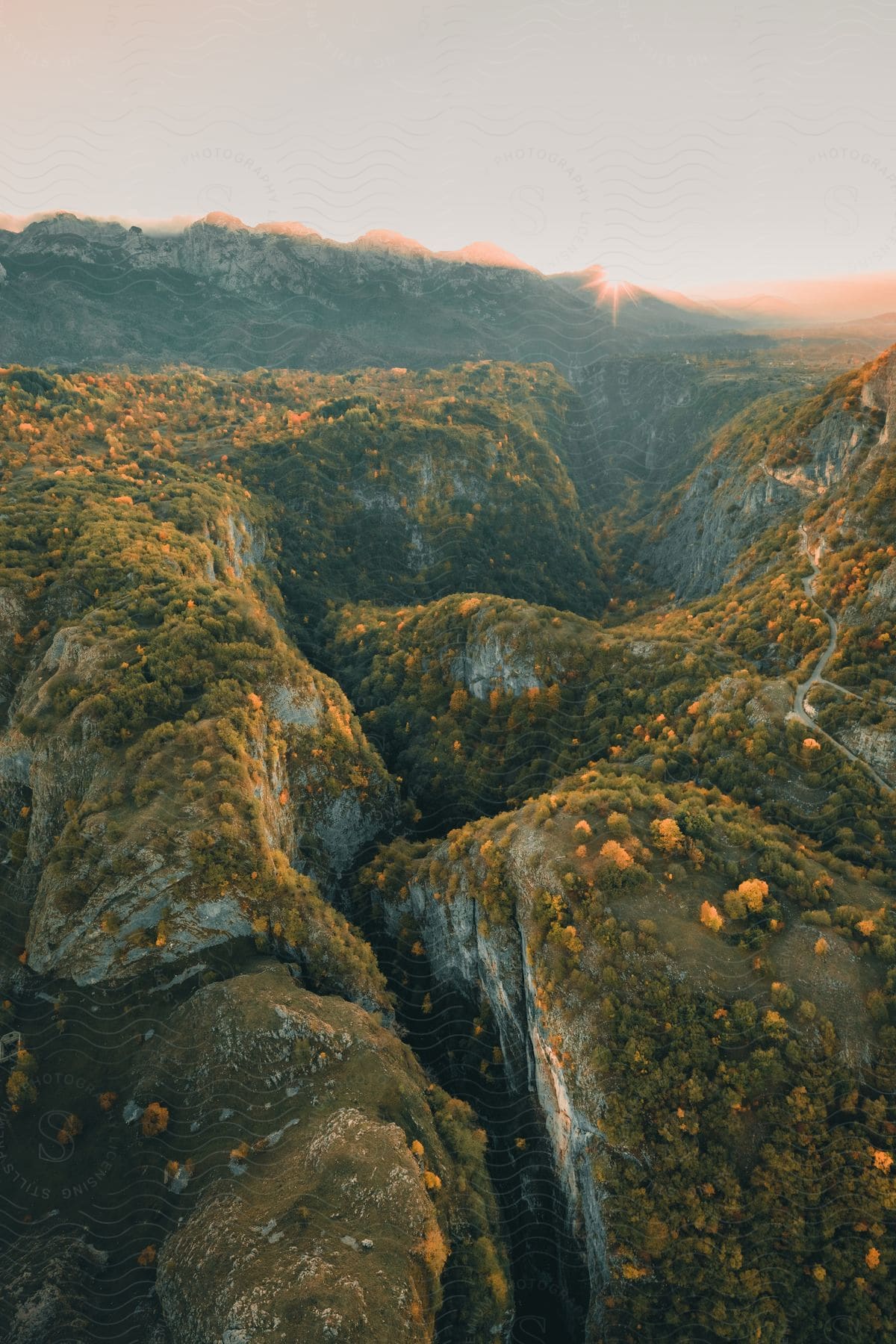 A mountainous and rocky landscape has deep canyons  carved into it and is covered in vegetation.