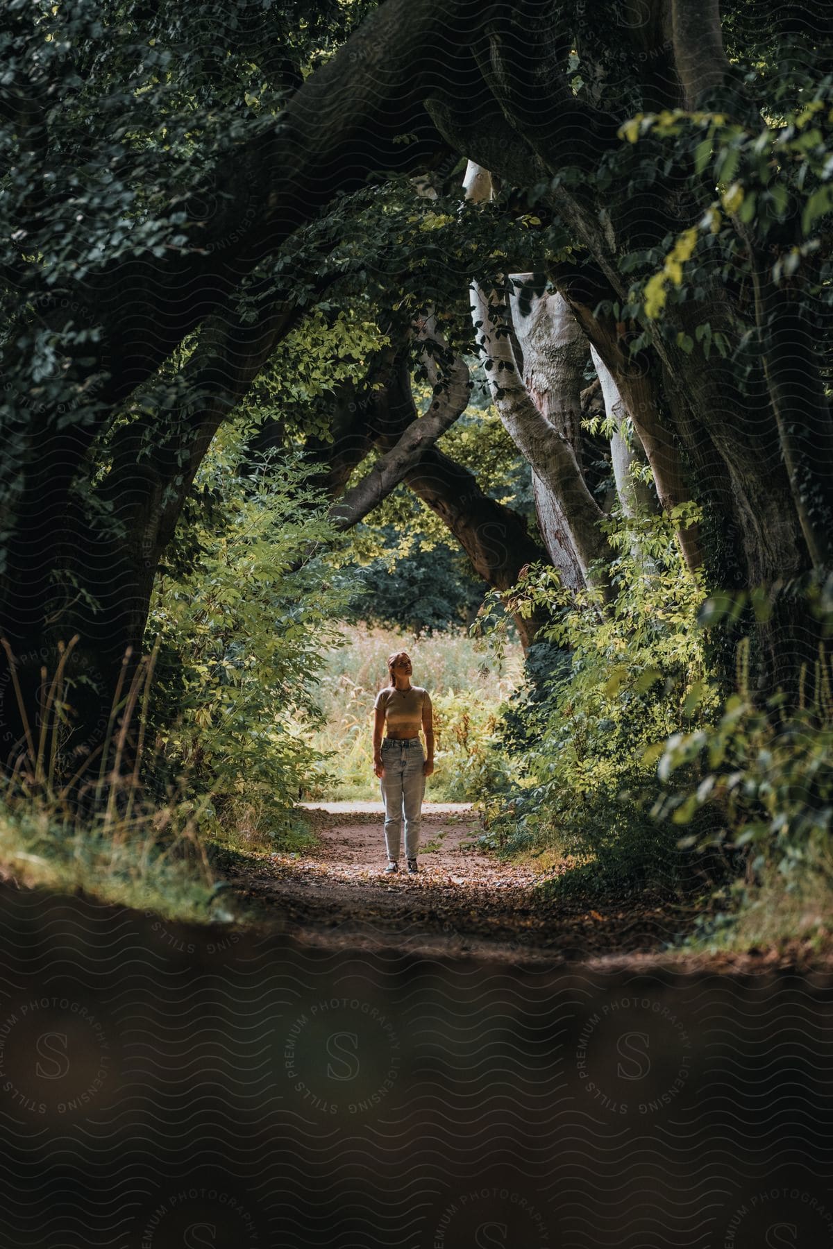 A woman walk through nature's archway, where the forest forms a green cathedral.