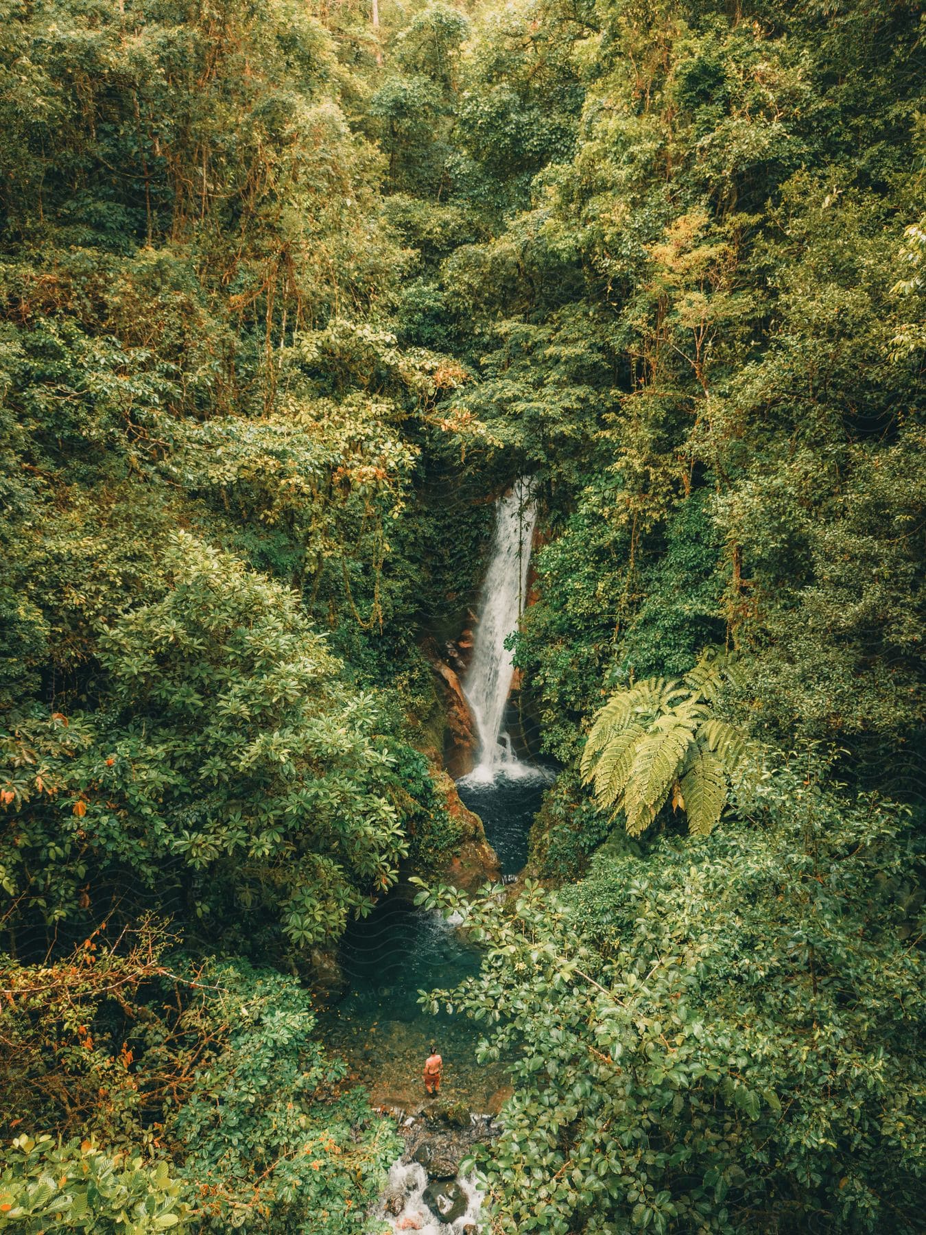 A waterfall pouring into a lake in the middle of a forest, and a man about to dive into the lake.