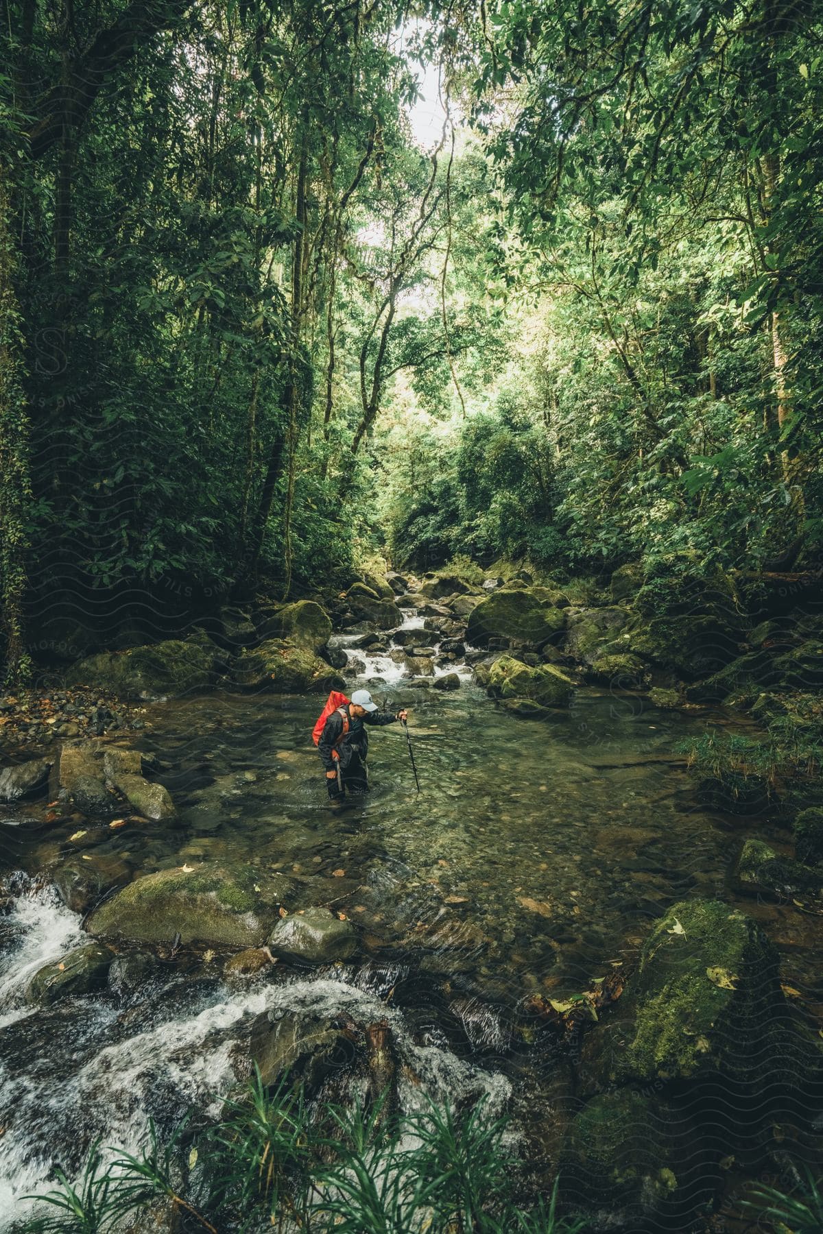 A man walking outdoors through the middle of a river.