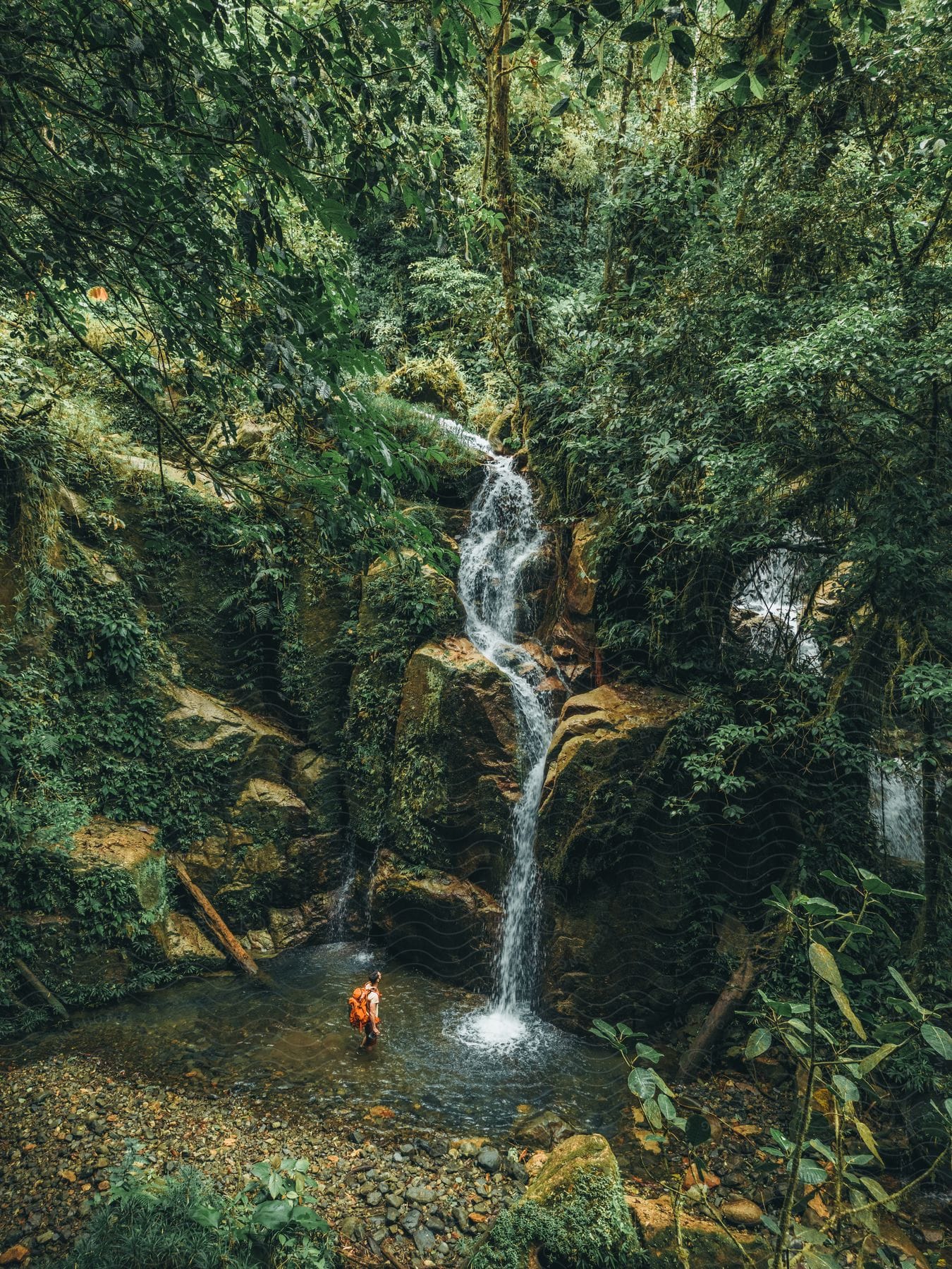 A person is standing in the water as the waterfall flows in the rainforest