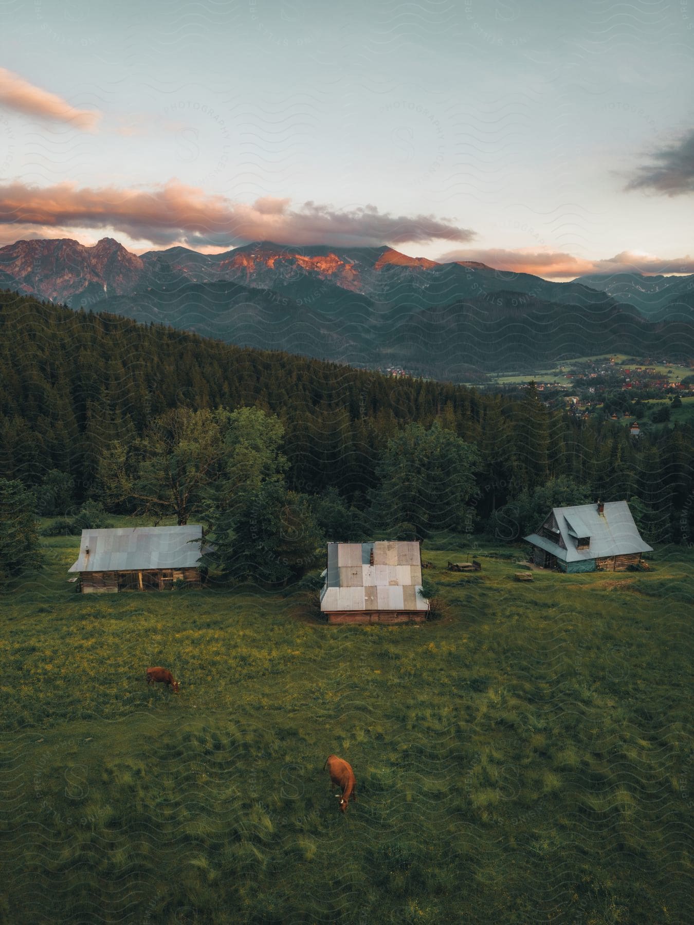 Three houses in a rural setting are surrounded by grass and trees, with distant mountains in the background, as the sun sets.