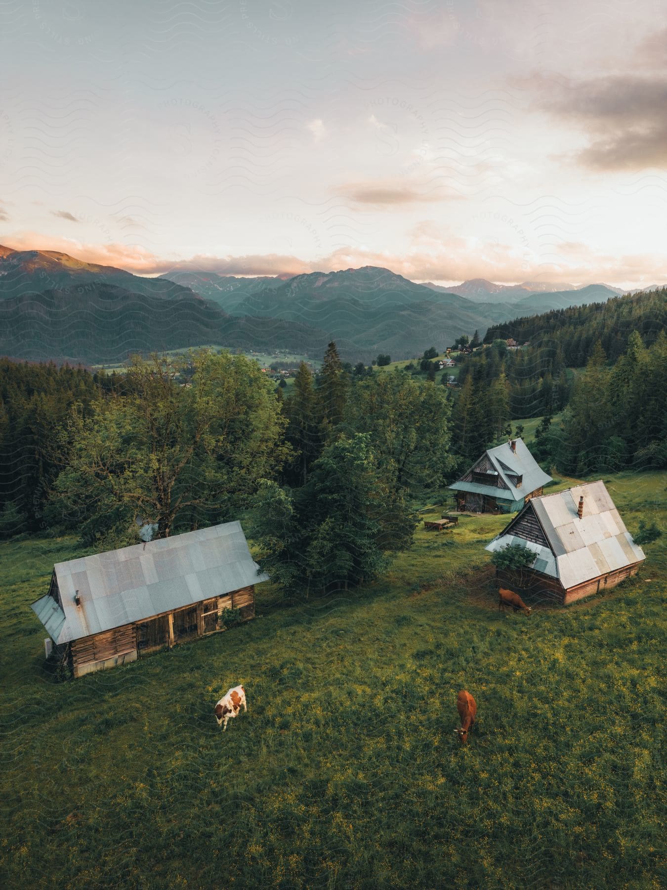 Small houses built on a hill by the mountains on a reddish cell morning and with vegetation around