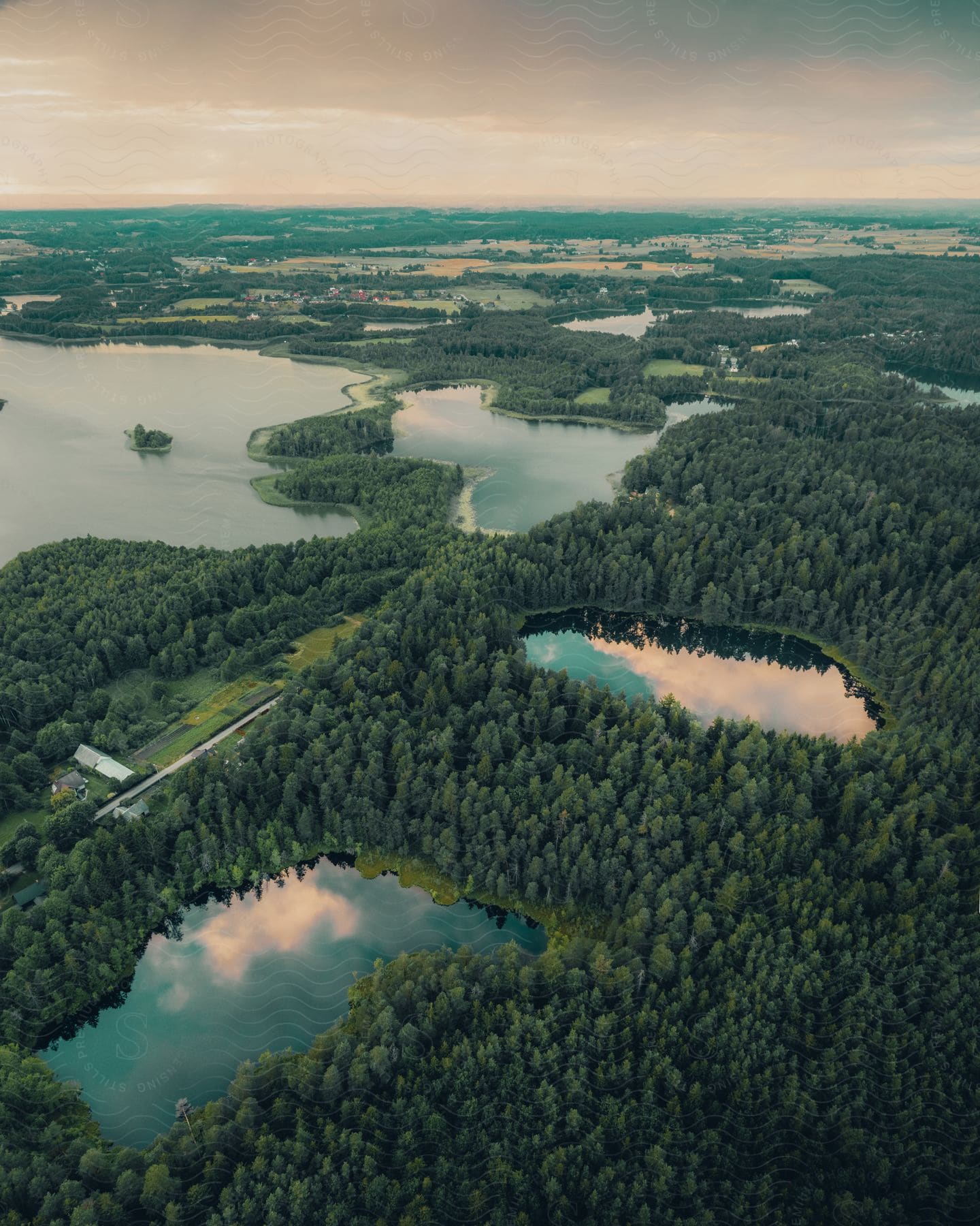 A marsh from above, with trees around it and clouds overhead.