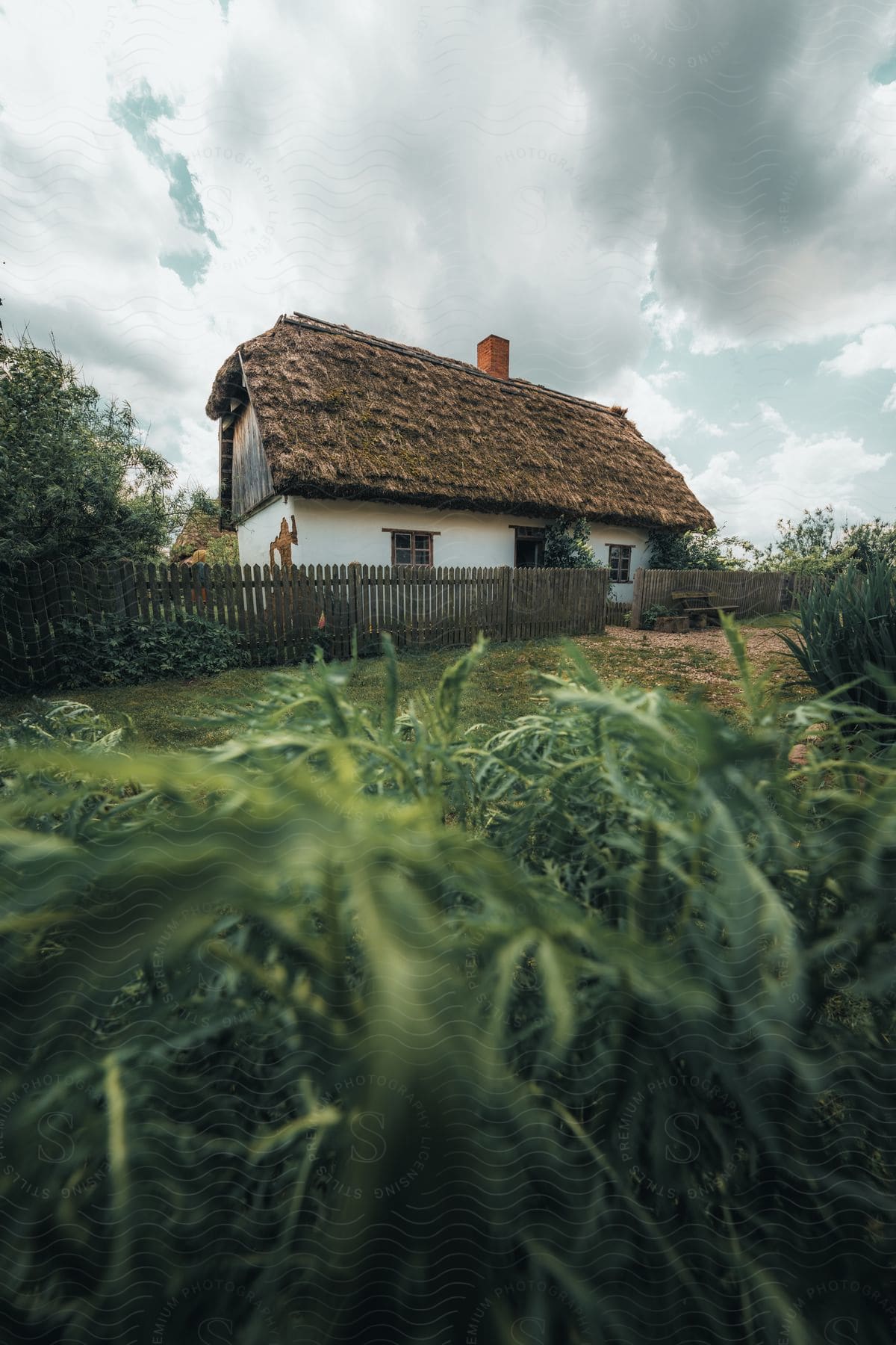 A thatched-roof house with a fence and tall grass in front.